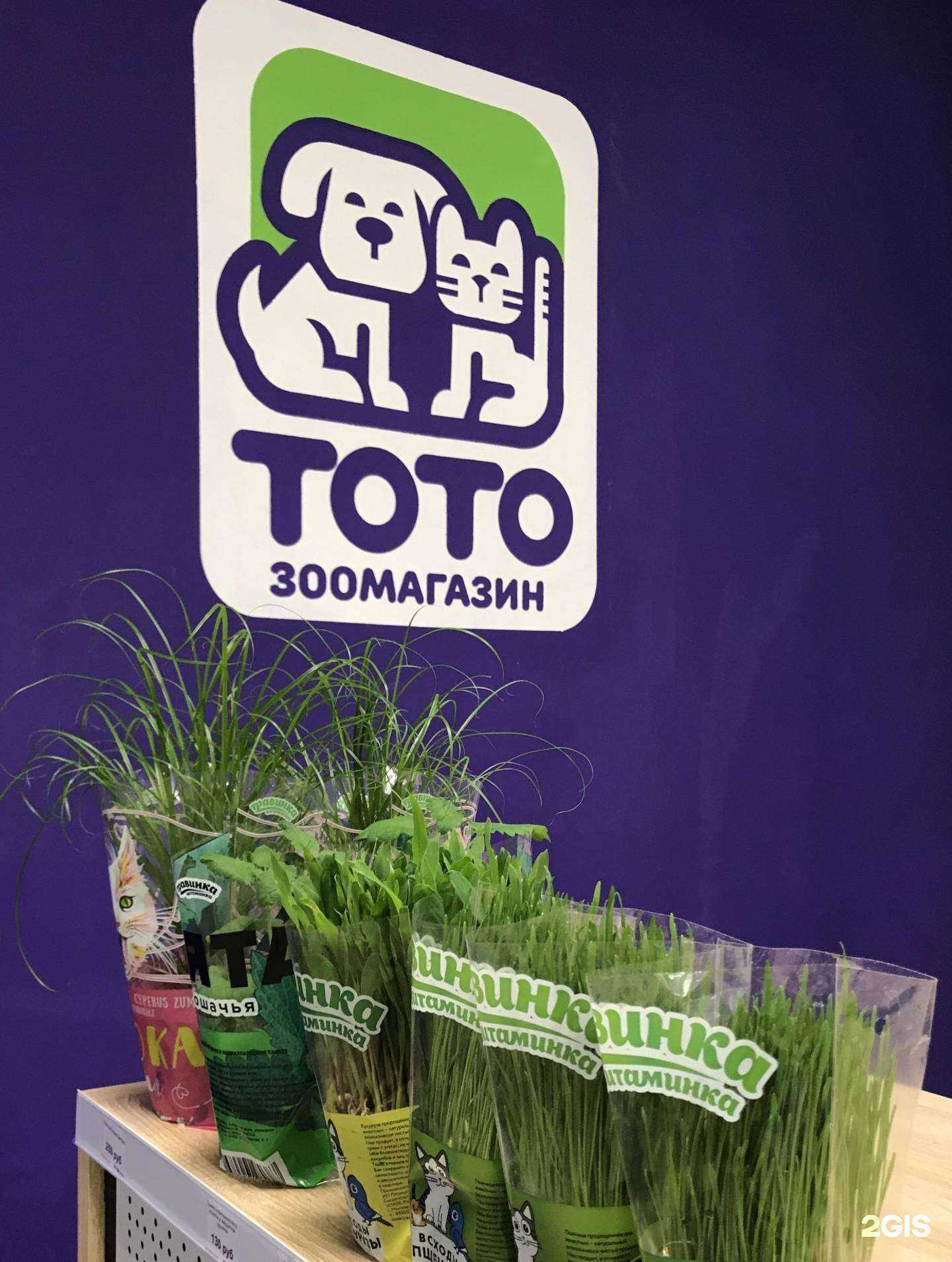 Отзывы на компанию Тото в Видном c фото