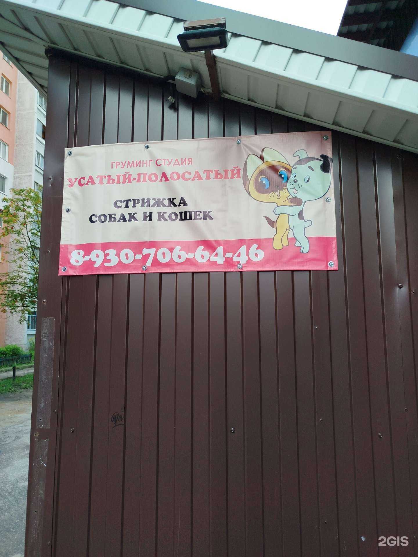 Отзывы на компанию Усатый-полосатый в Арзамасе c фото