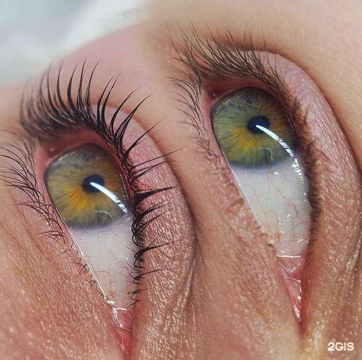 Отзывы на компанию Brow orekhova в Краснодаре c фото