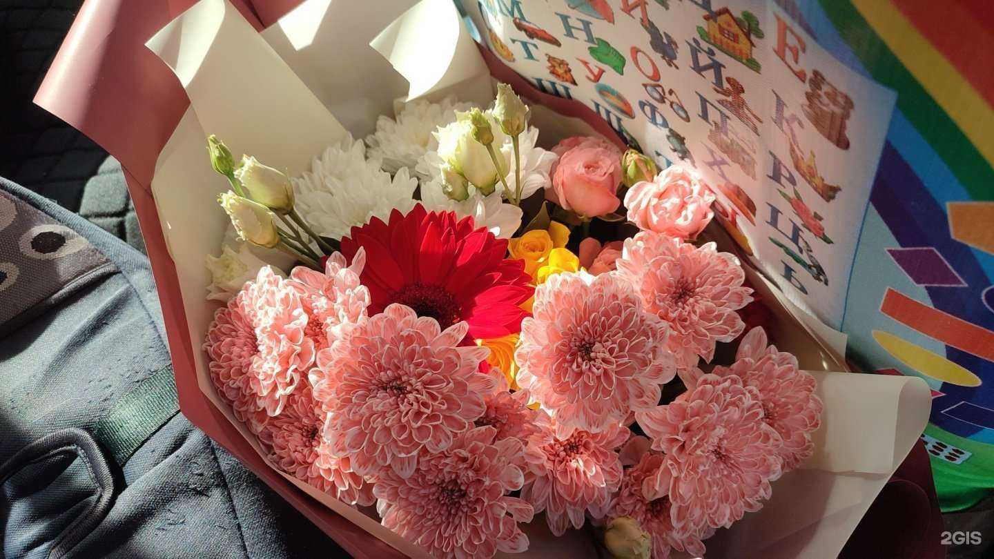 Отзывы на компанию Шеле в Магнитогорске c фото