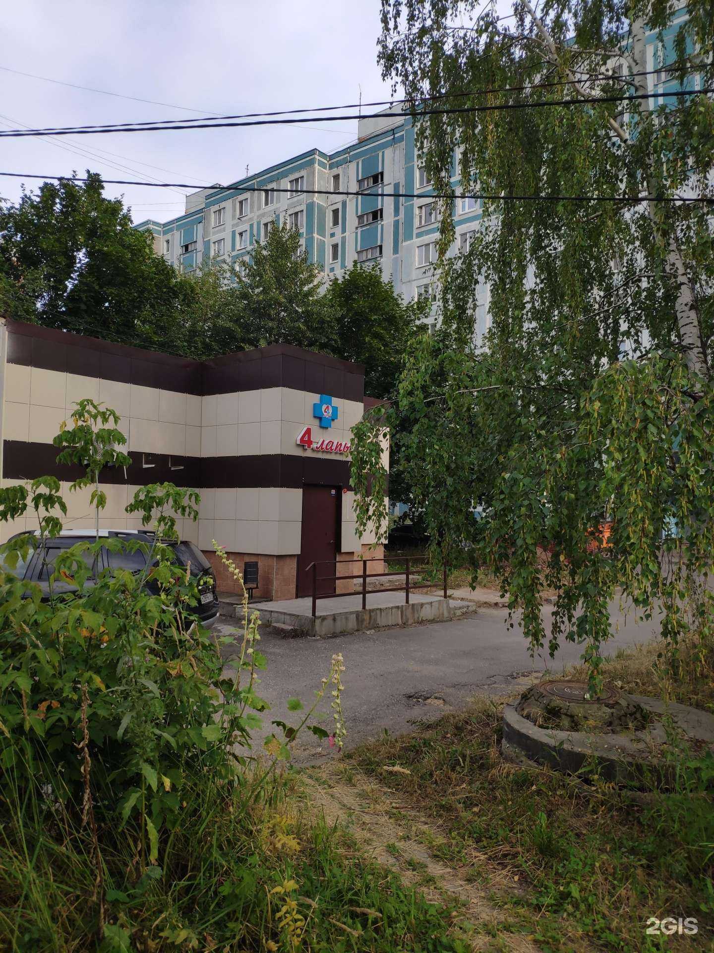 Отзывы на компанию 4 лапы в Казани c фото