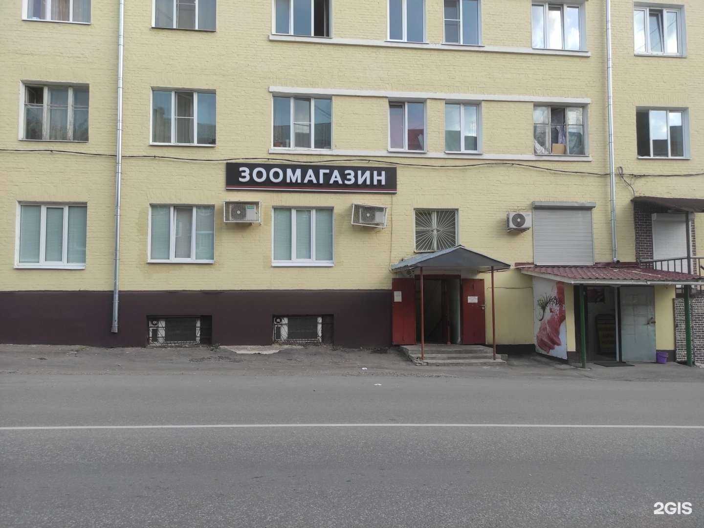 Отзывы на компанию Зоогалерея в Ивантеевке c фото