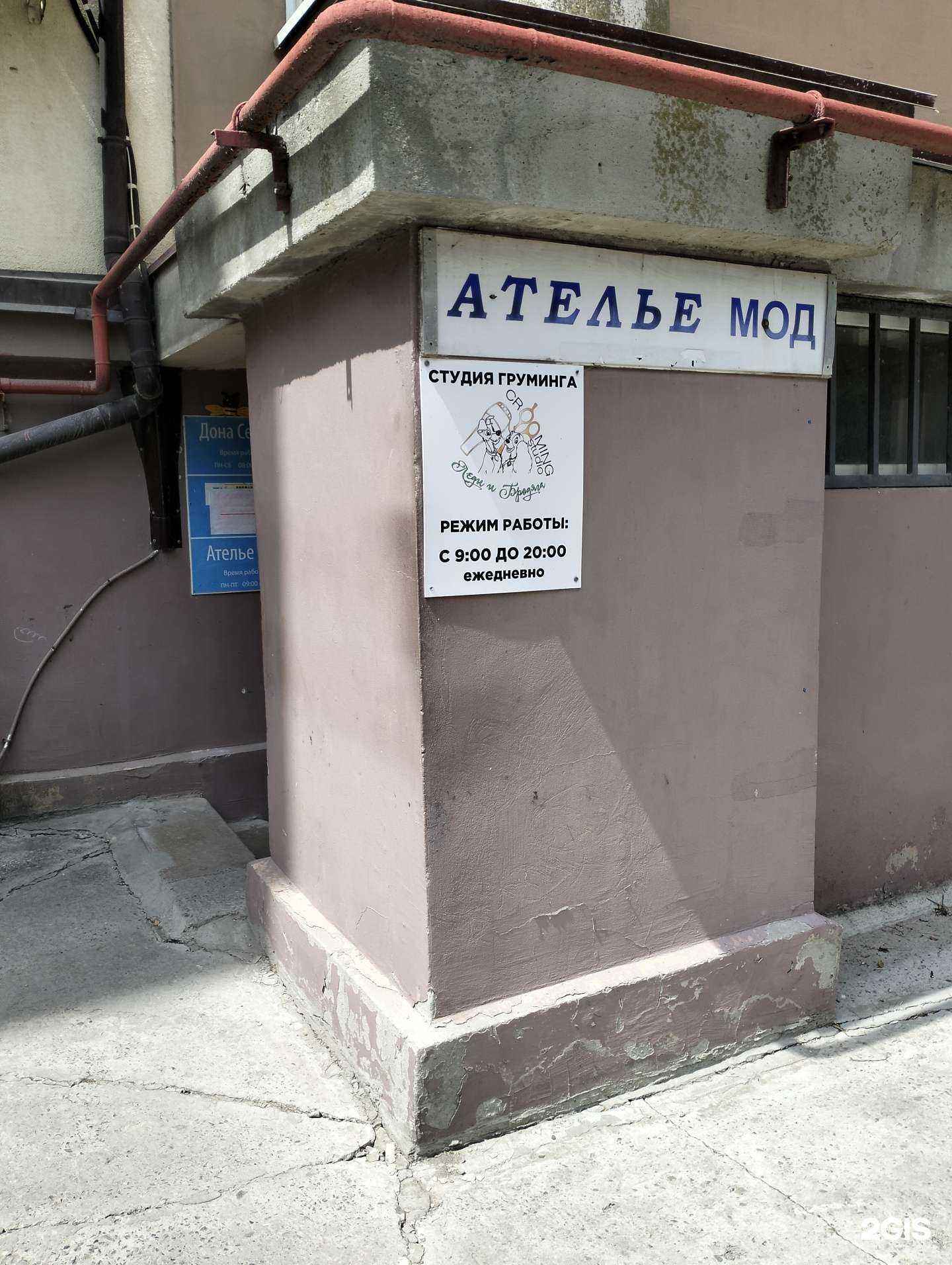 Отзывы на компанию Леди и бродяга в г. Волгоград c фото