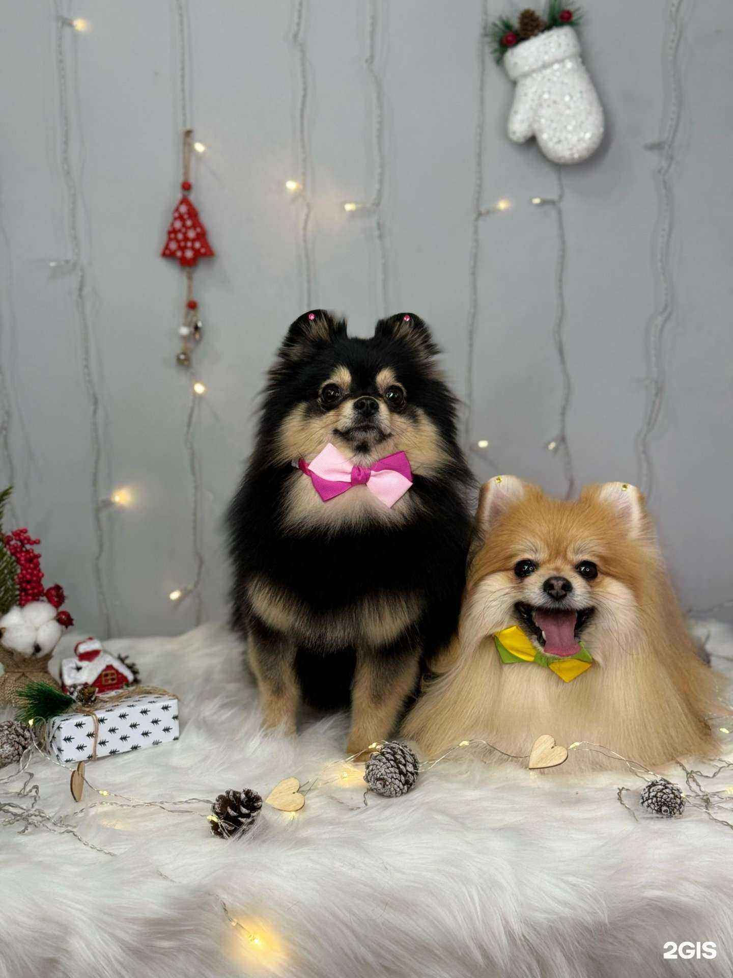 Отзывы на компанию Aniva в г. Ногинск c фото