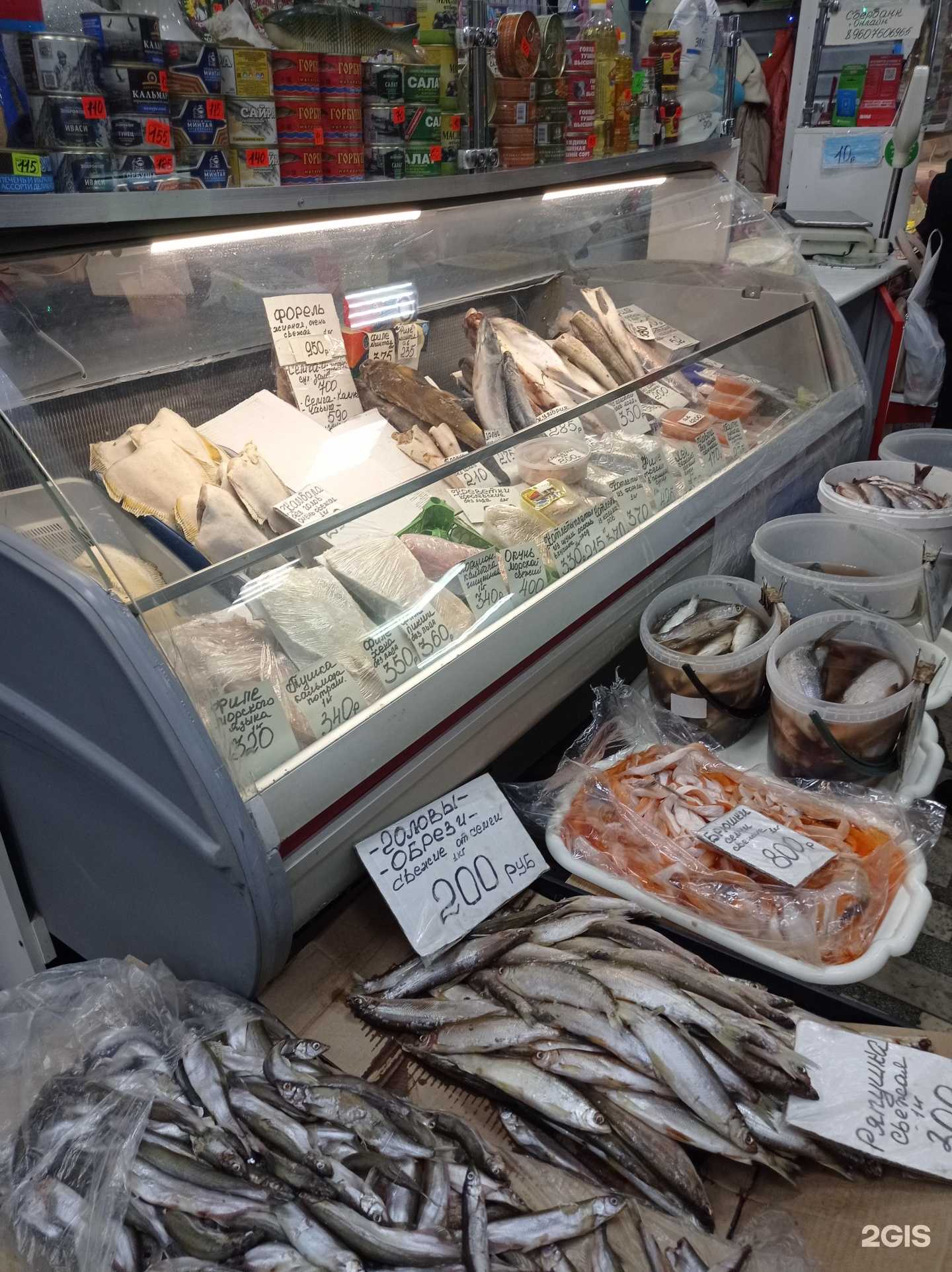 Отзывы на компанию Свежая рыба в г. Красноярск c фото