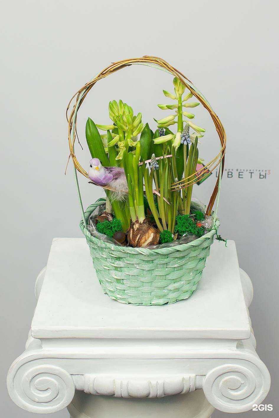 Отзывы на компанию Цветы в кубе в г. Самара c фото