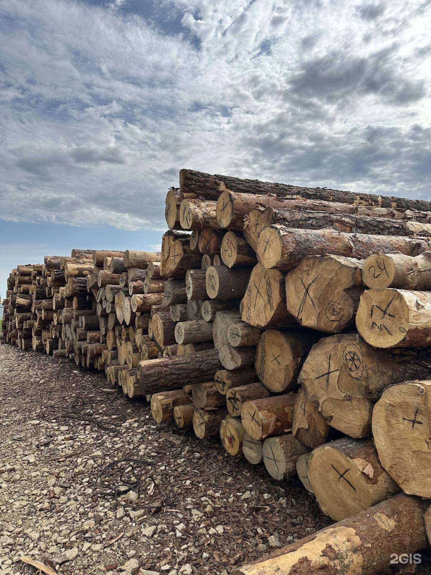 Отзывы на компанию Компания по продаже пиломатериалов в г. Оренбург c фото