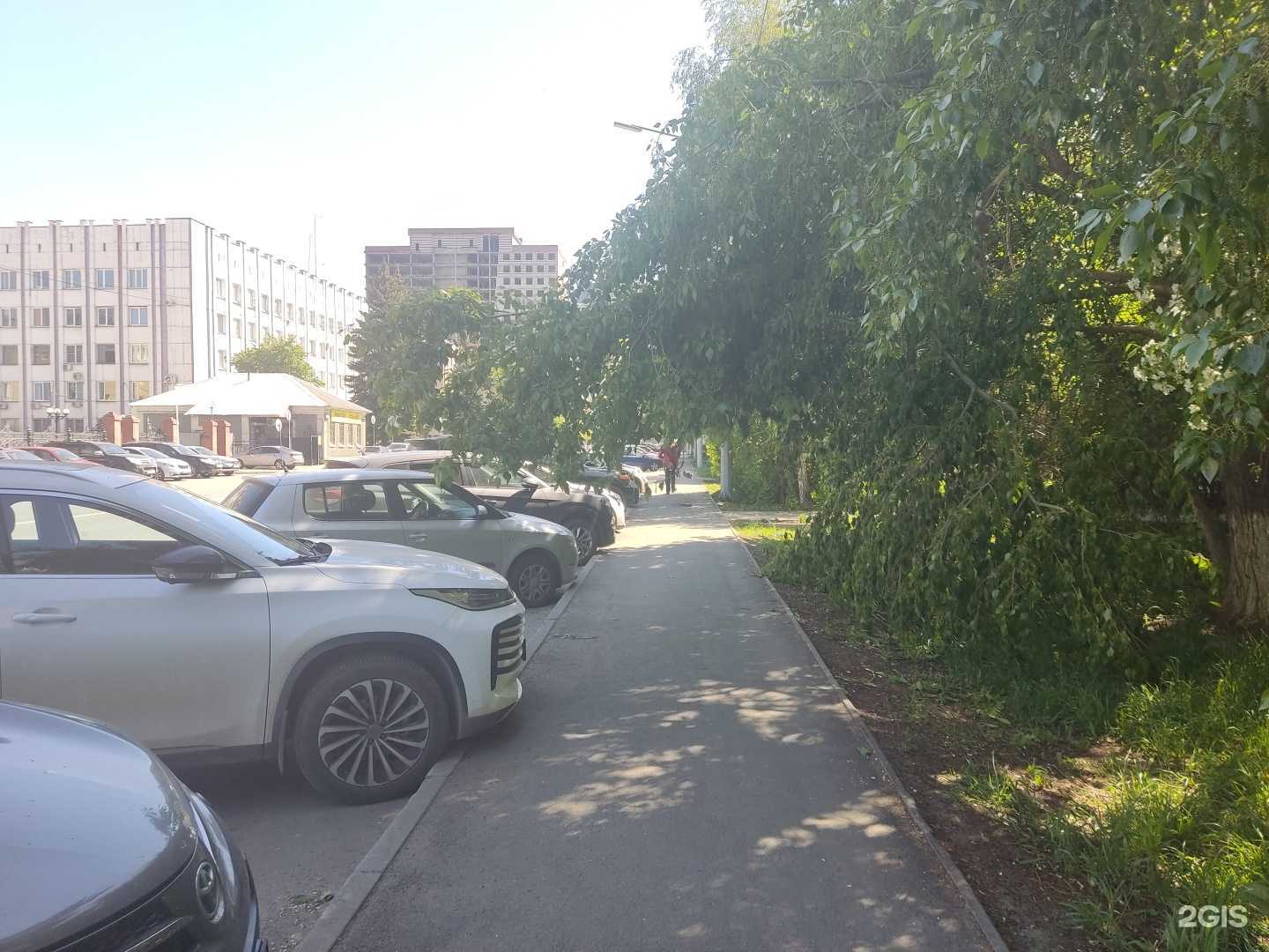 Отзывы на компанию Seo Prodviz в Челябинске c фото