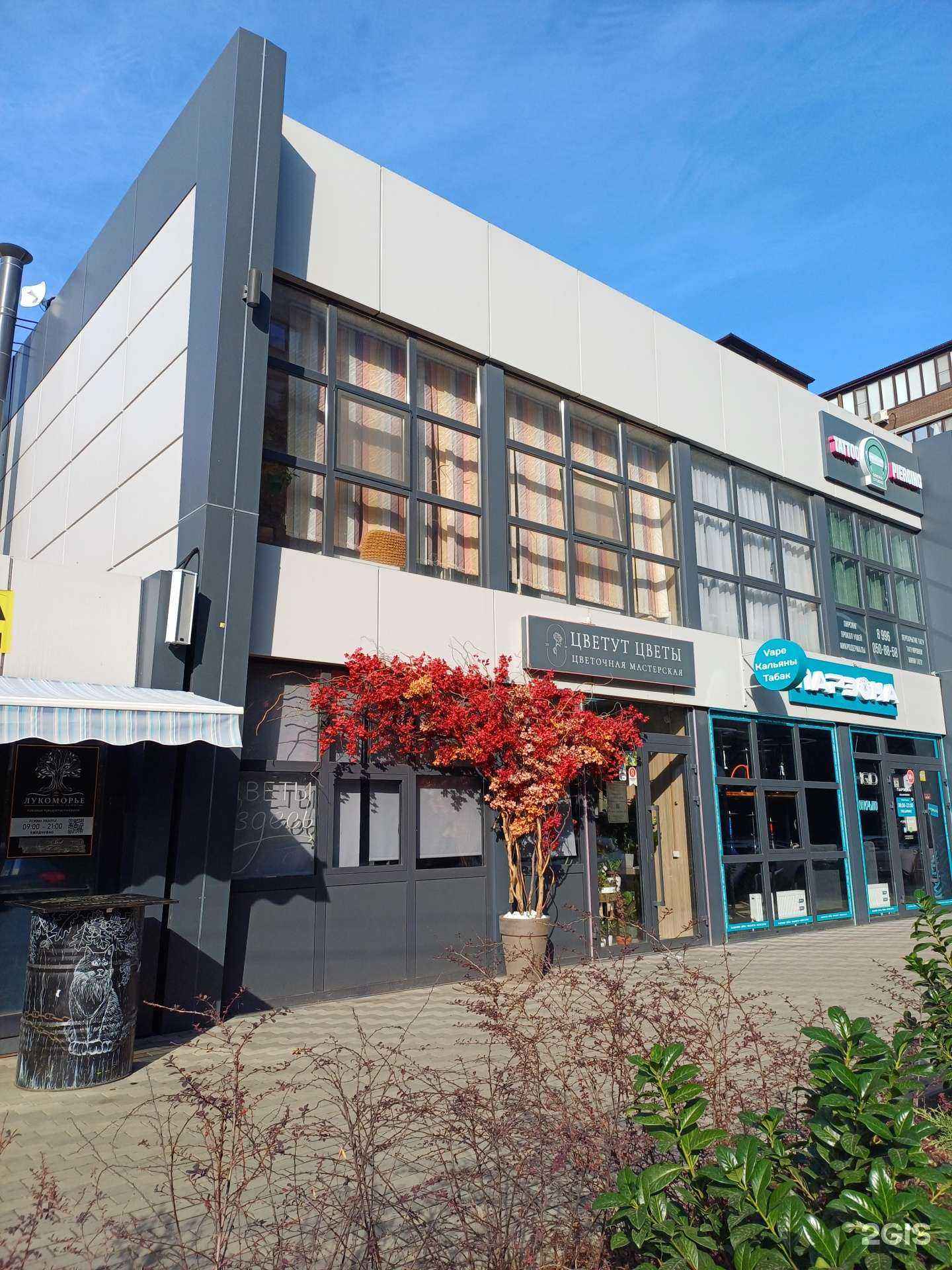 Отзывы на компанию Pro Взгляд Studio в Краснодаре c фото - фотография 2 из 2