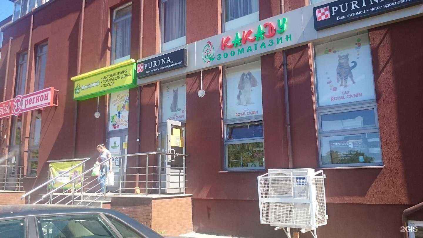 Отзывы на компанию Какаду в Калининграде c фото