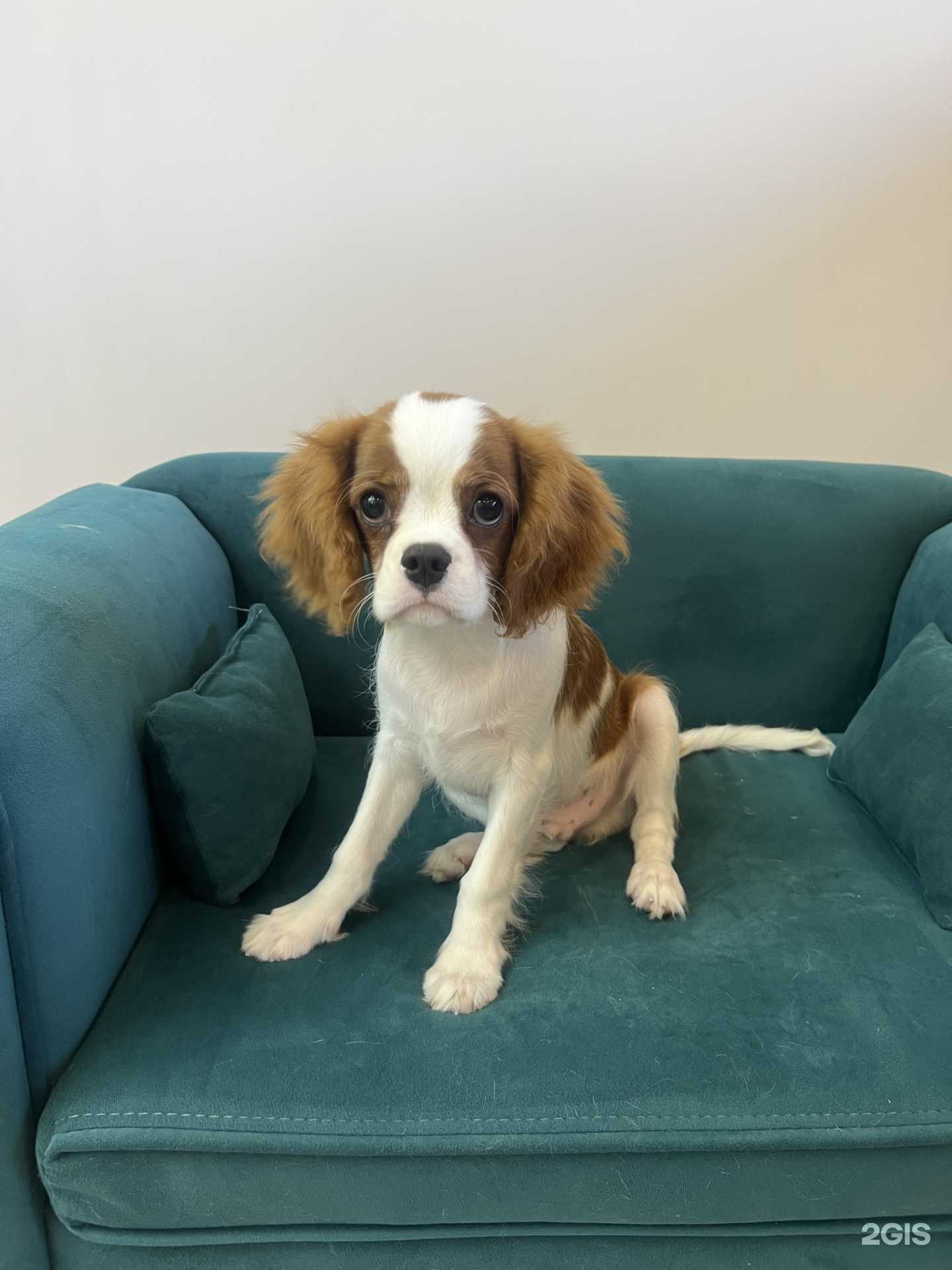 Отзывы на компанию LeBon groom в г. Новороссийск c фото