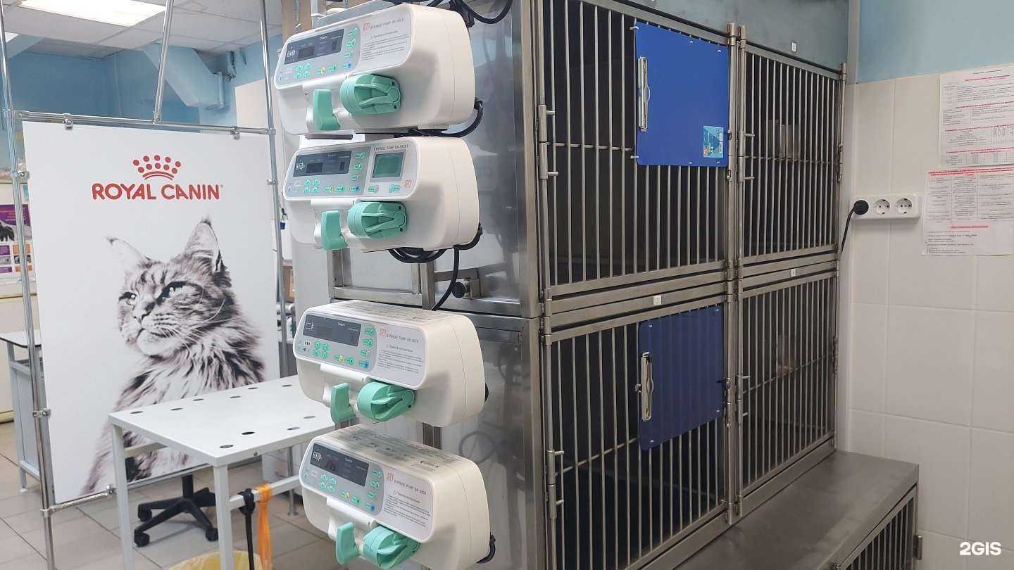 Отзывы на компанию Академ-сервис в Казани c фото