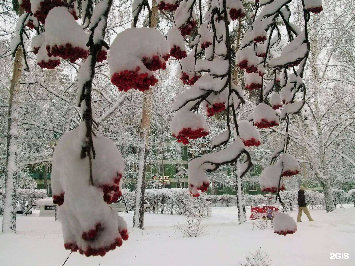Отзывы на компанию 7 Чудес в г. Новосибирск c фото