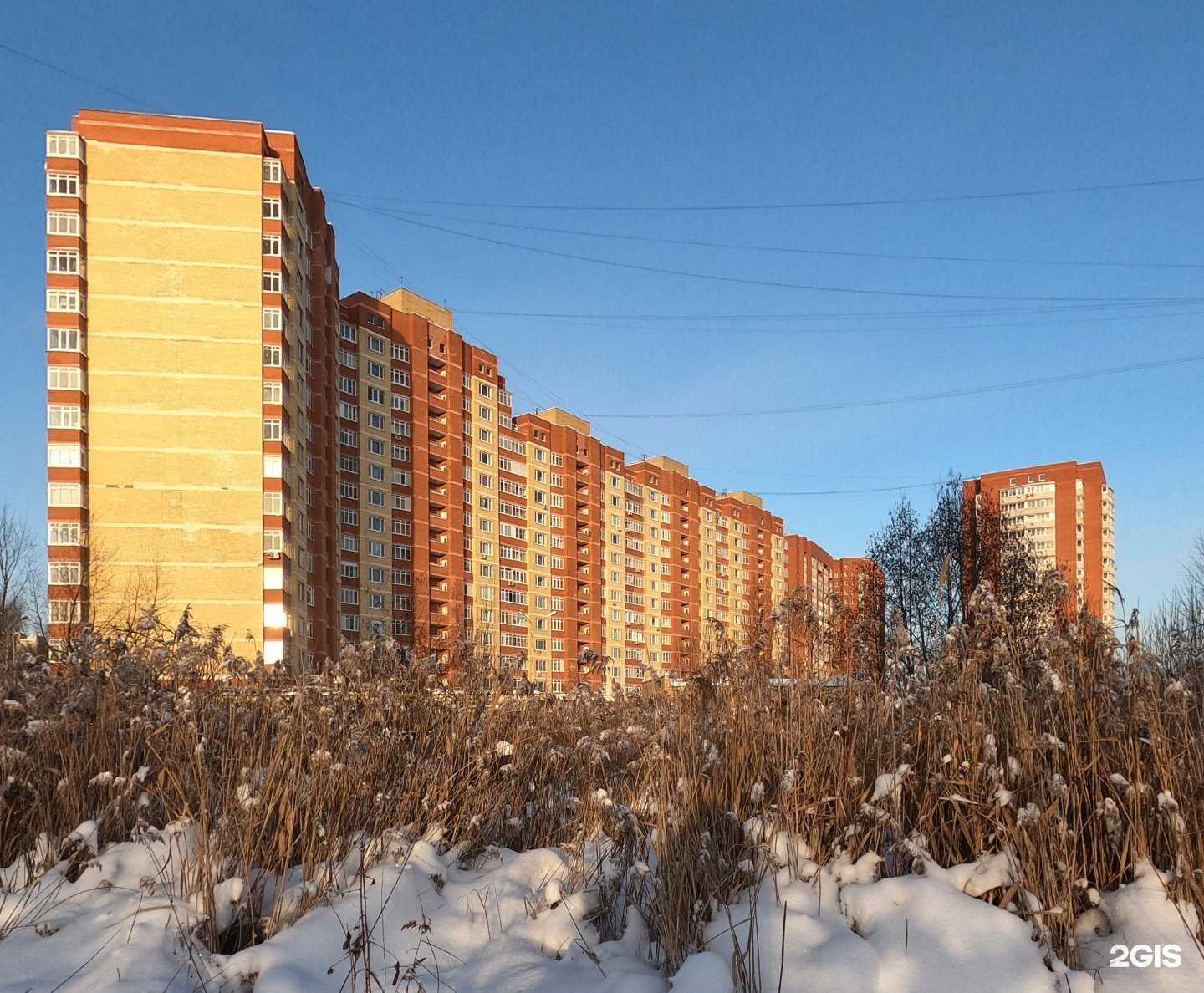 Отзывы на компанию Студия груминга в Дмитрове c фото - фотография 2 из 2