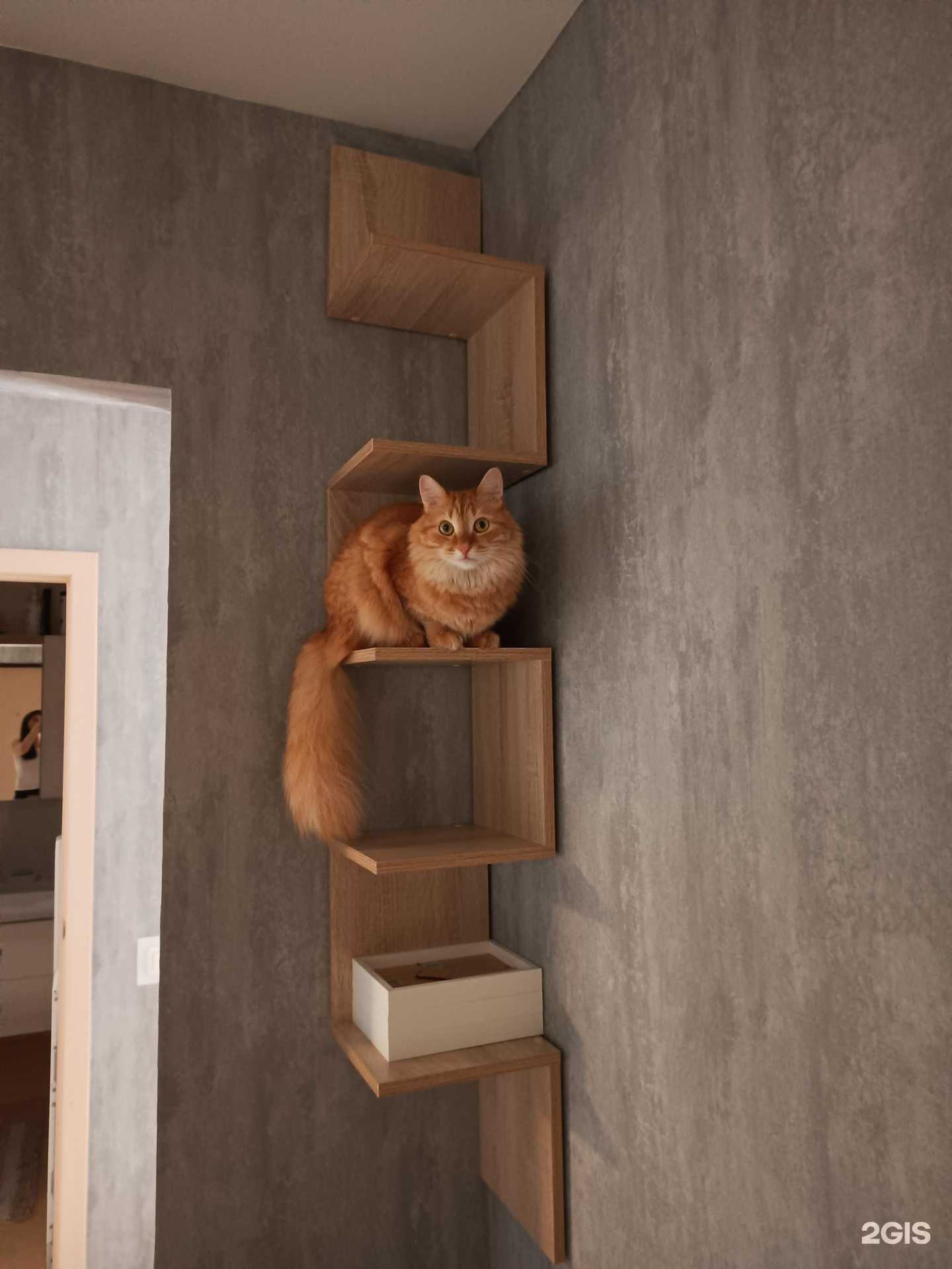 Отзывы на компанию Лучший друг в г. Верхняя Пышма c фото