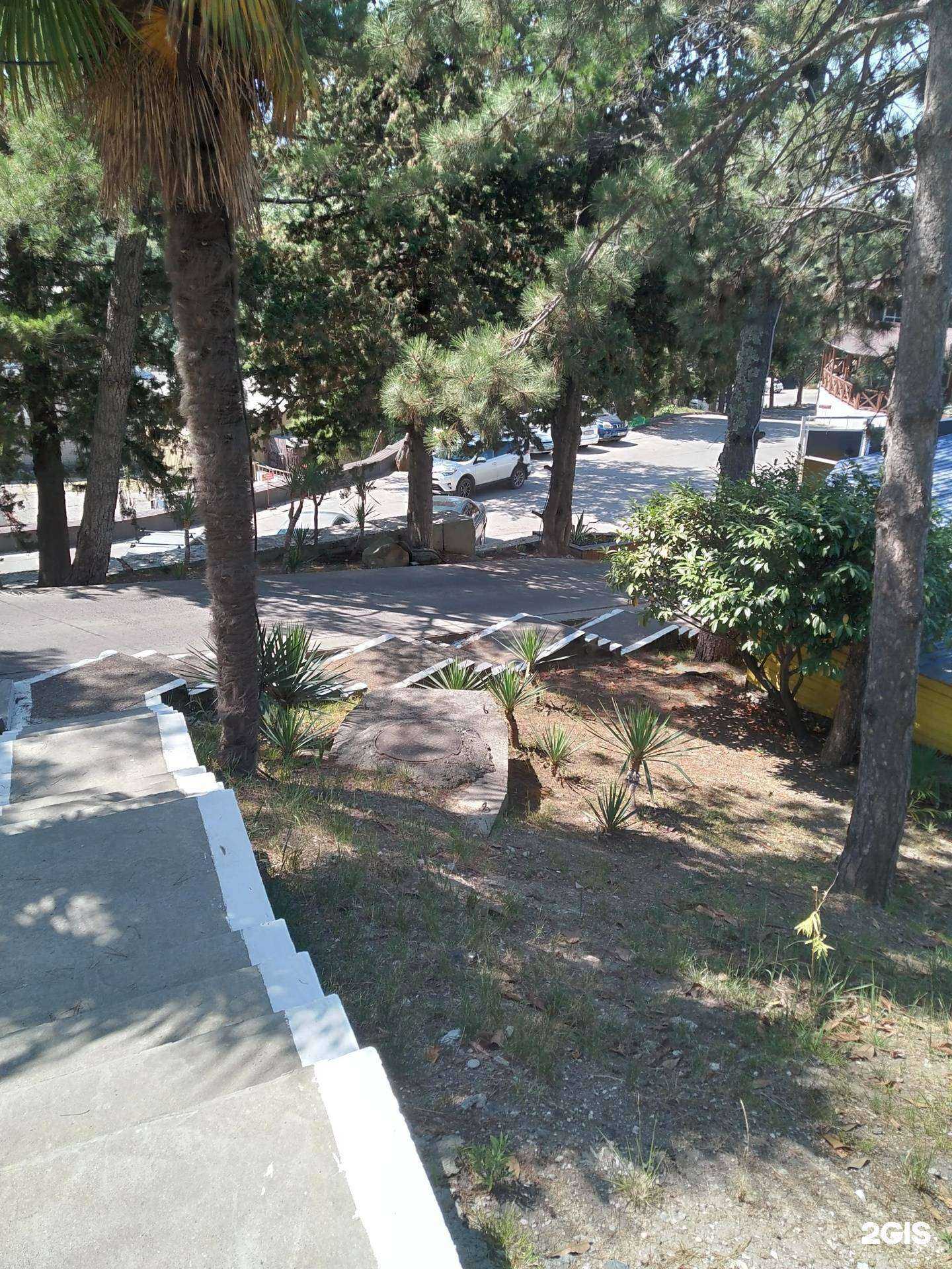 Отзывы на компанию Sochi art space&glass coffee в Сочи c фото - фотография 2 из 2