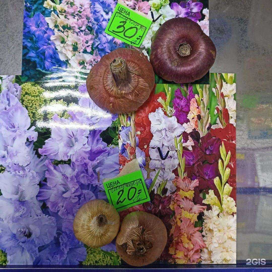 Отзывы на компанию Домик в г. Пенза c фото