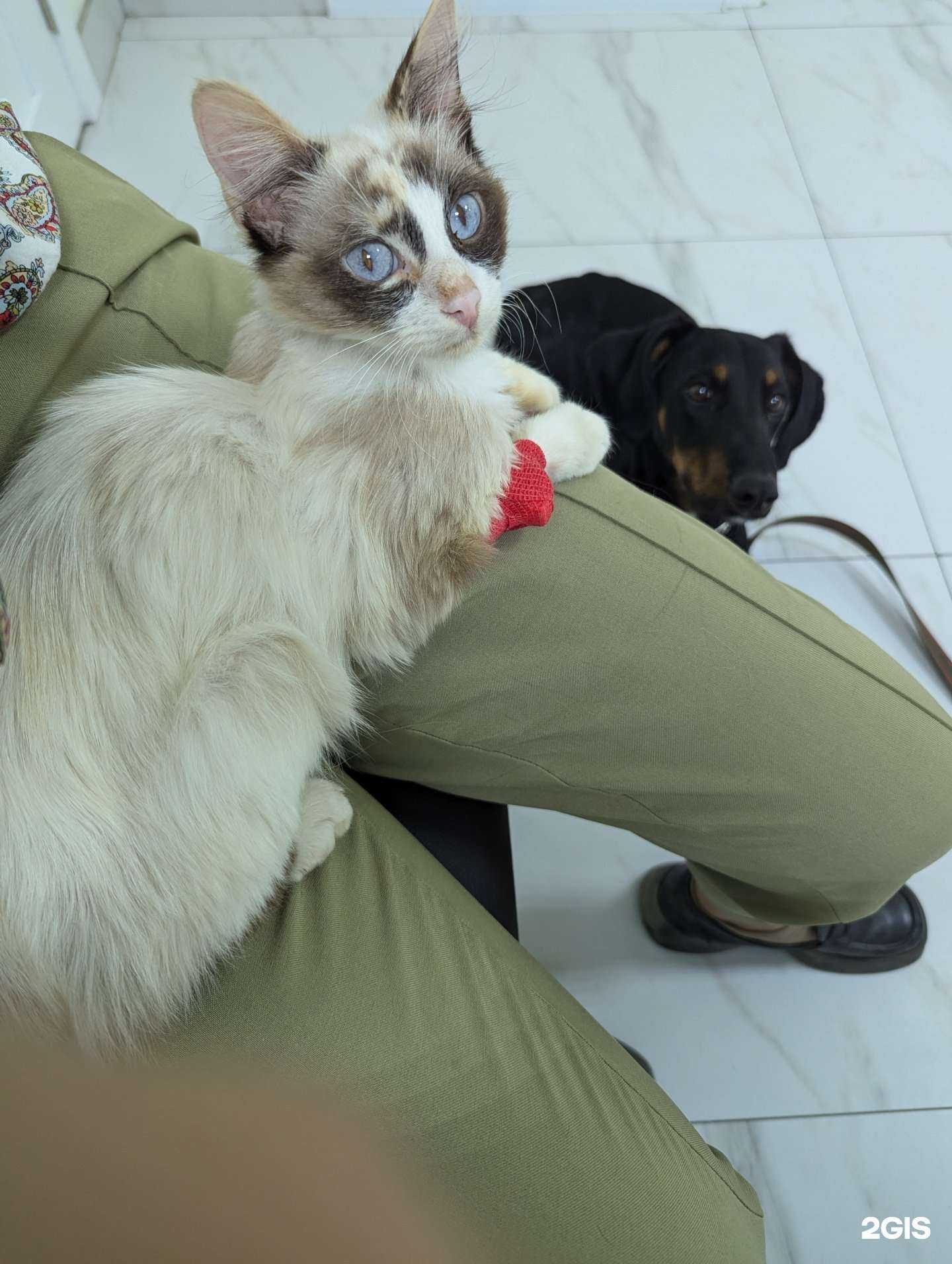 Отзывы на компанию Бил в г. Краснодар c фото