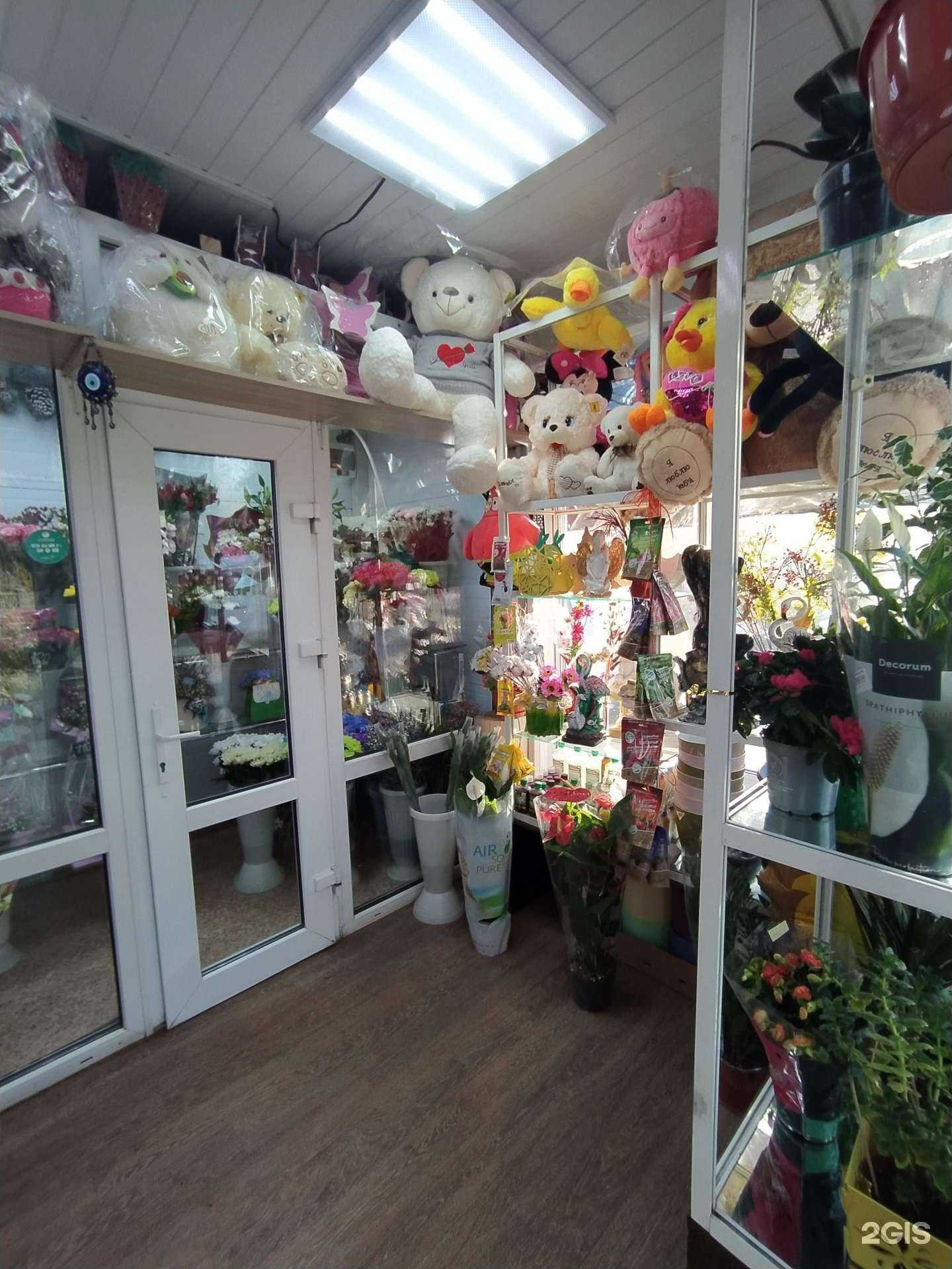 Отзывы на компанию Флонесса в г. Омск c фото