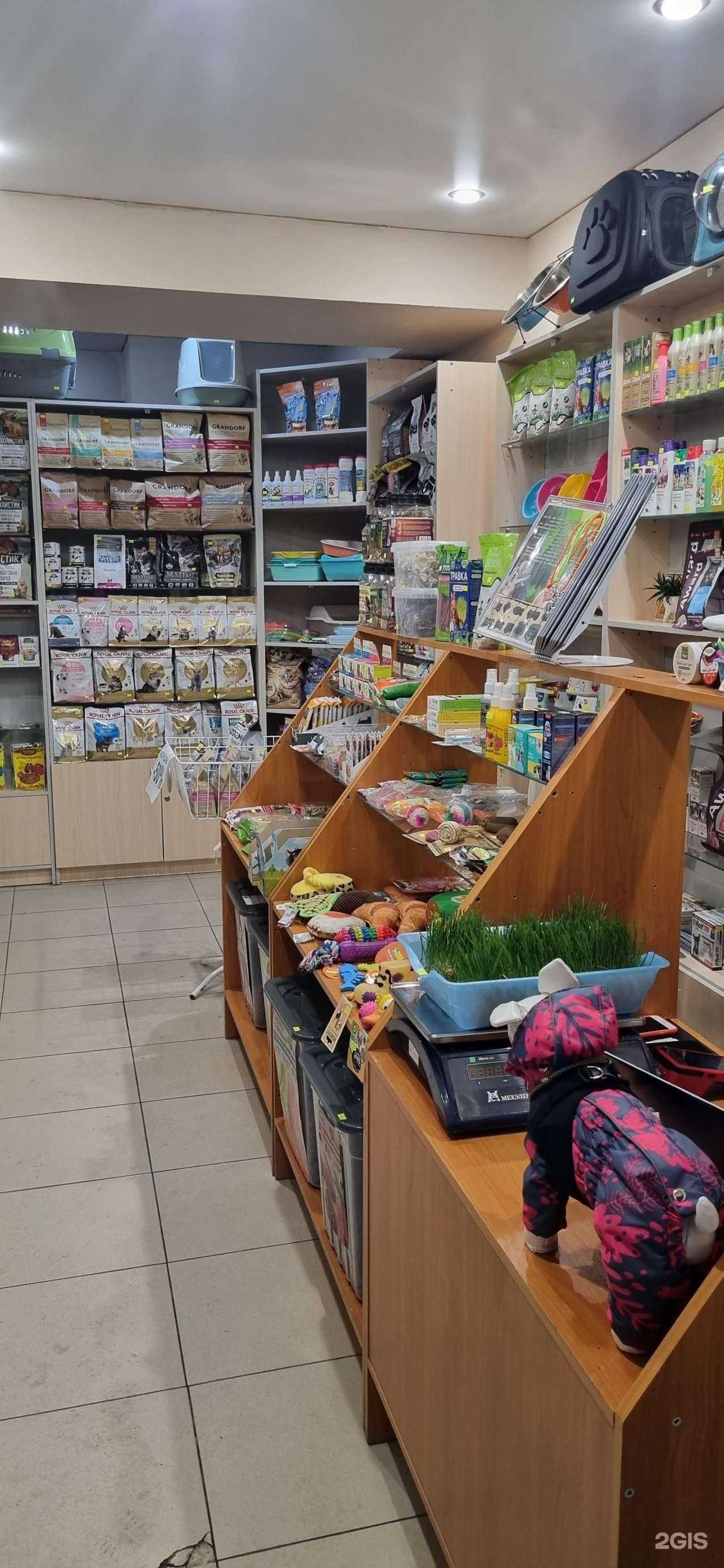 Отзывы на компанию Собаки-Барабаки в г. Тула c фото