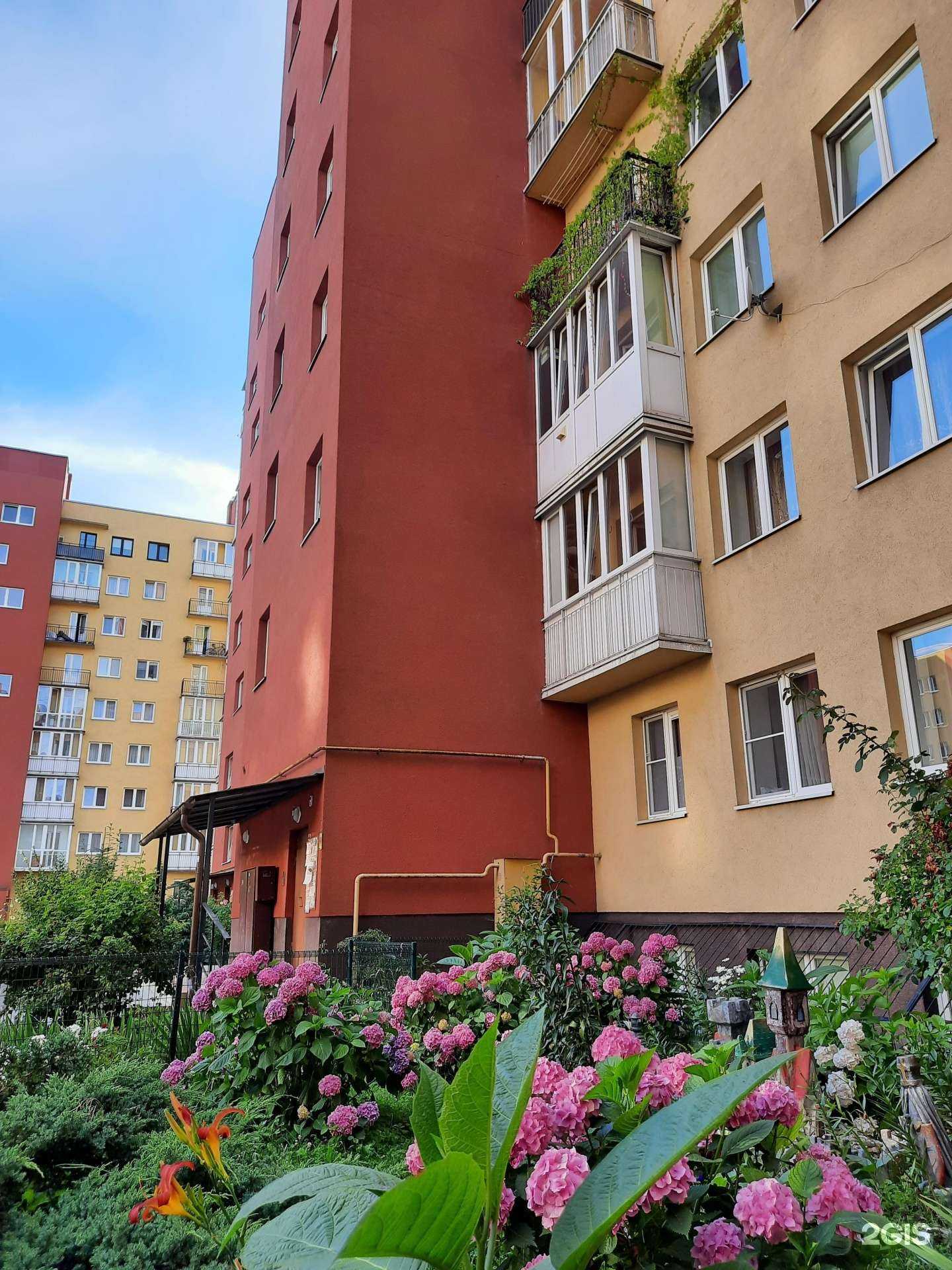 Отзывы на компанию Студия колористики в Калининграде c фото