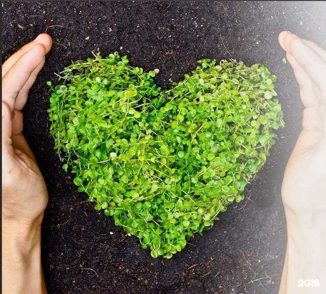 Отзывы на компанию ВердаТерра в Новосибирске c фото