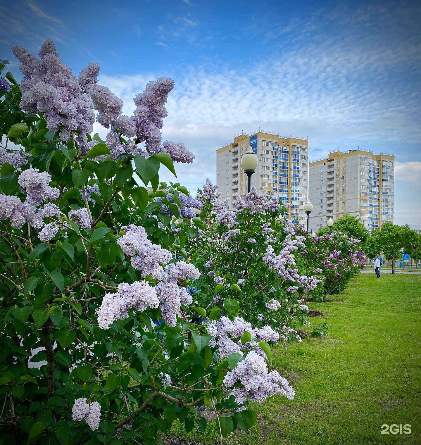 Отзывы на компанию King house в Воронеже c фото - фотография 2 из 2