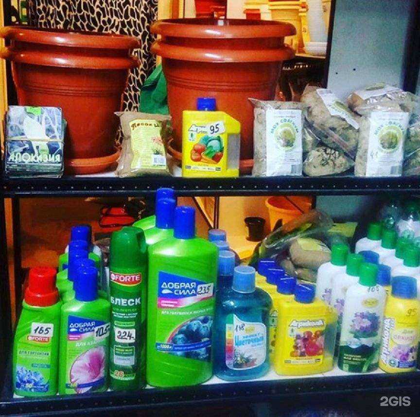 Отзывы на компанию Цветущий сад в Находке c фото