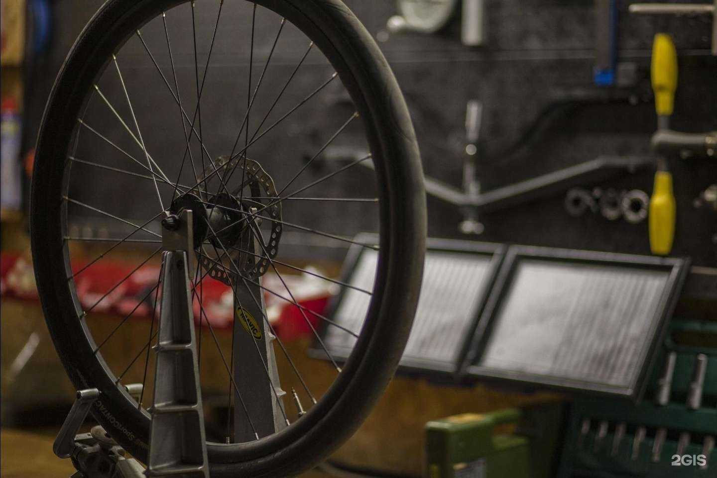 Отзывы на компанию Велоцераптор в г. Екатеринбург c фото