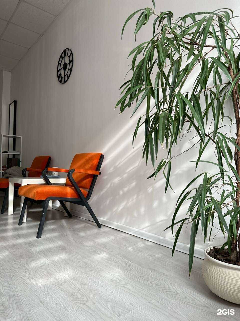 Отзывы на компанию  На Облаках в Новокузнецке c фото