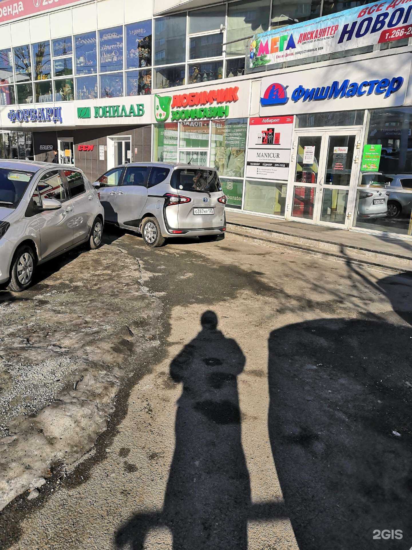 Отзывы на компанию Любимчик в Владивостоке c фото - фотография 2 из 2