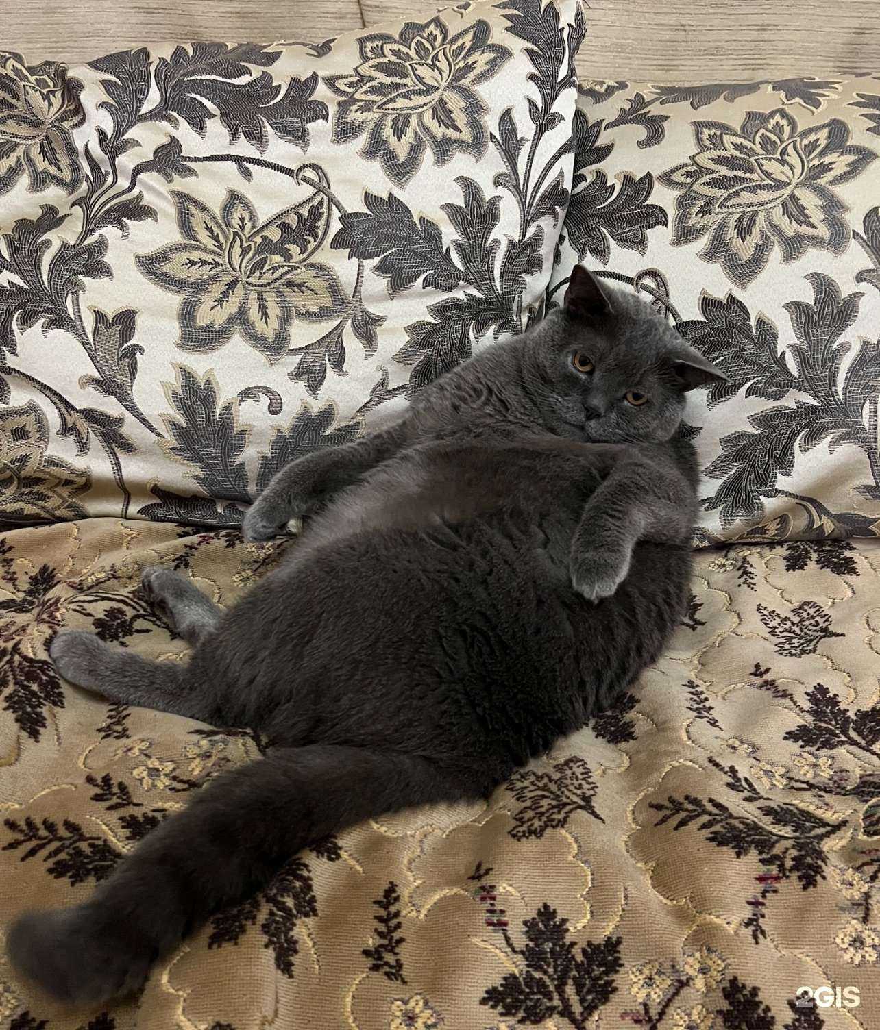 Отзывы на компанию Шурнюр в Краснодаре c фото