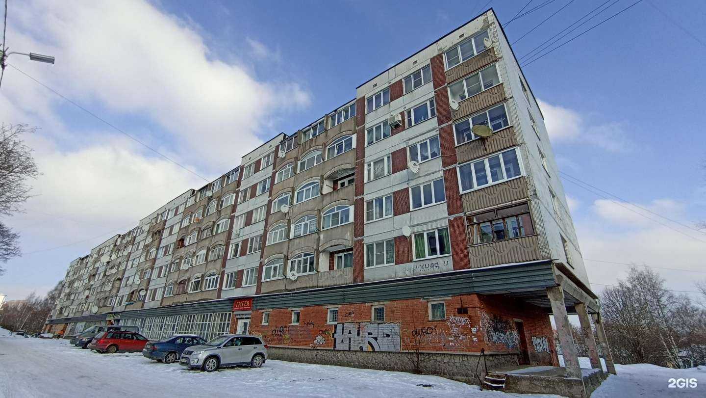 Отзывы на компанию Витязь в Выборге c фото - фотография 2 из 2