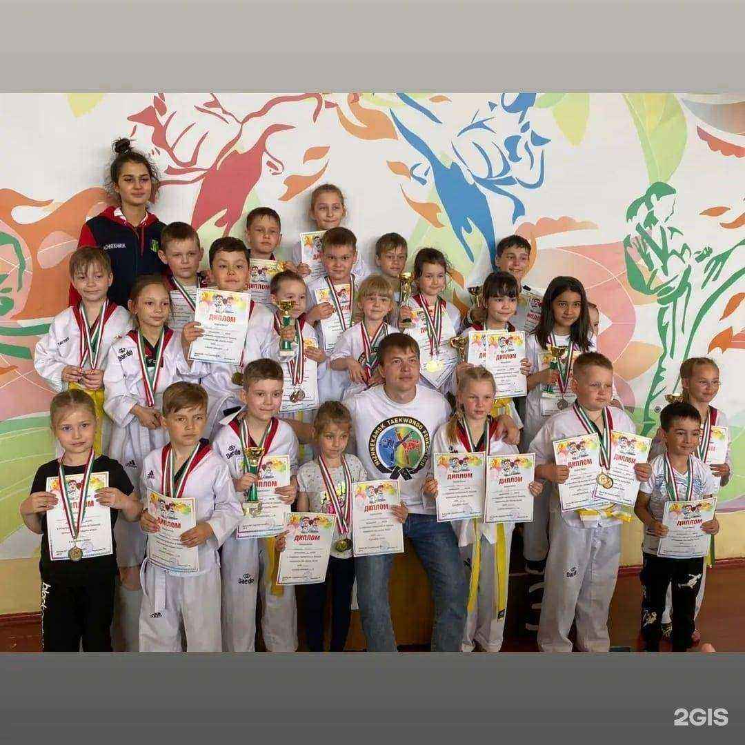 Отзывы на компанию Федерация тхэквондо г. Нижнекамска в г. Нижнекамск c фото