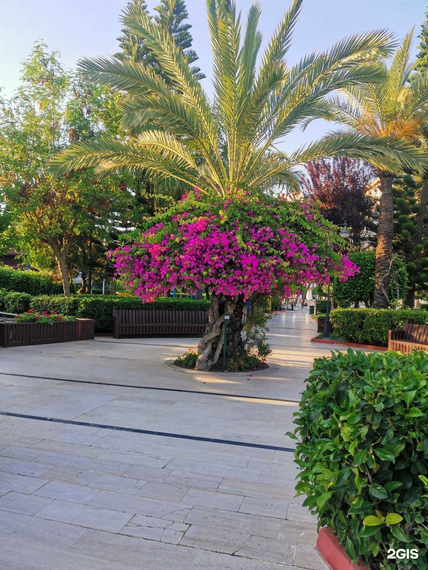 Отзывы на компанию Пегас туристик в г. Новокузнецк c фото