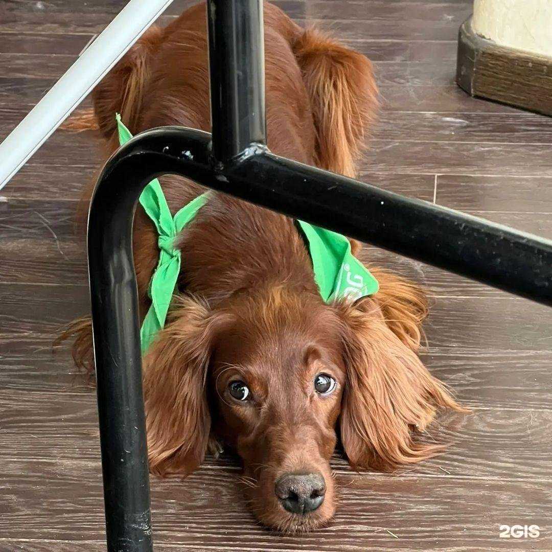 Отзывы на компанию Тефи в Подольске c фото