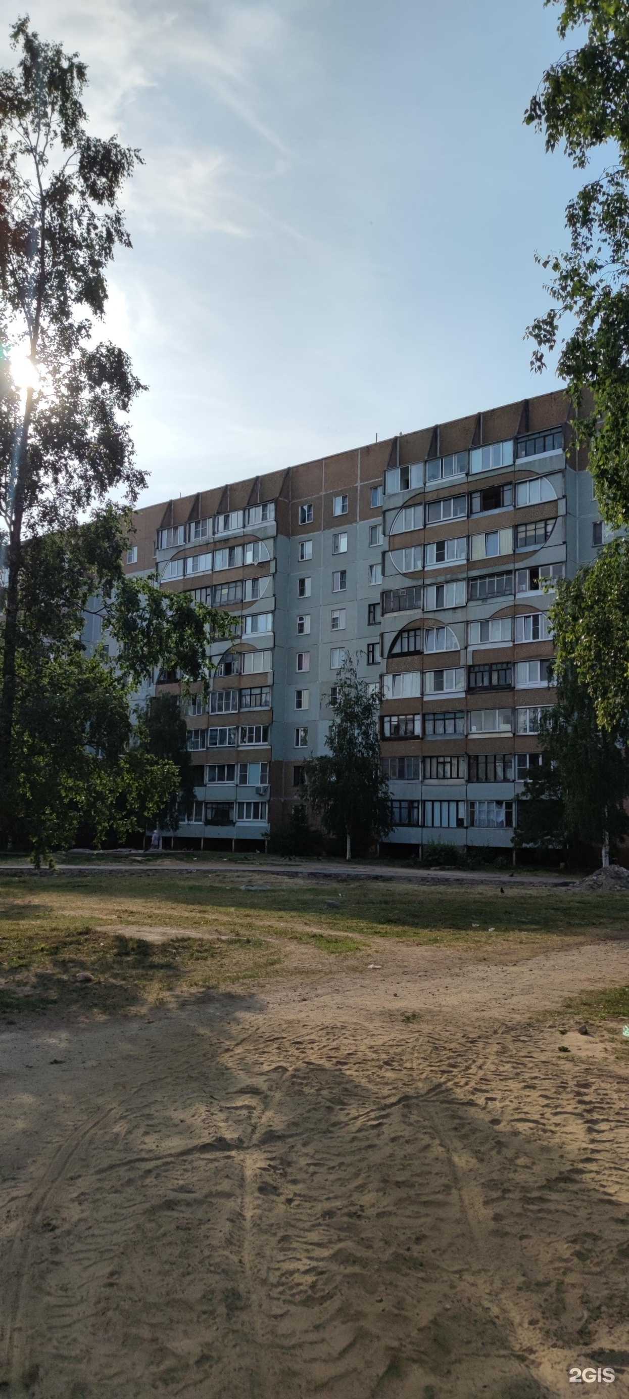 Отзывы на компанию Любимчики в Пскове c фото - фотография 2 из 2