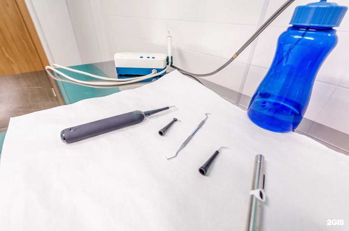 Отзывы на компанию Пушистики в Электростали c фото