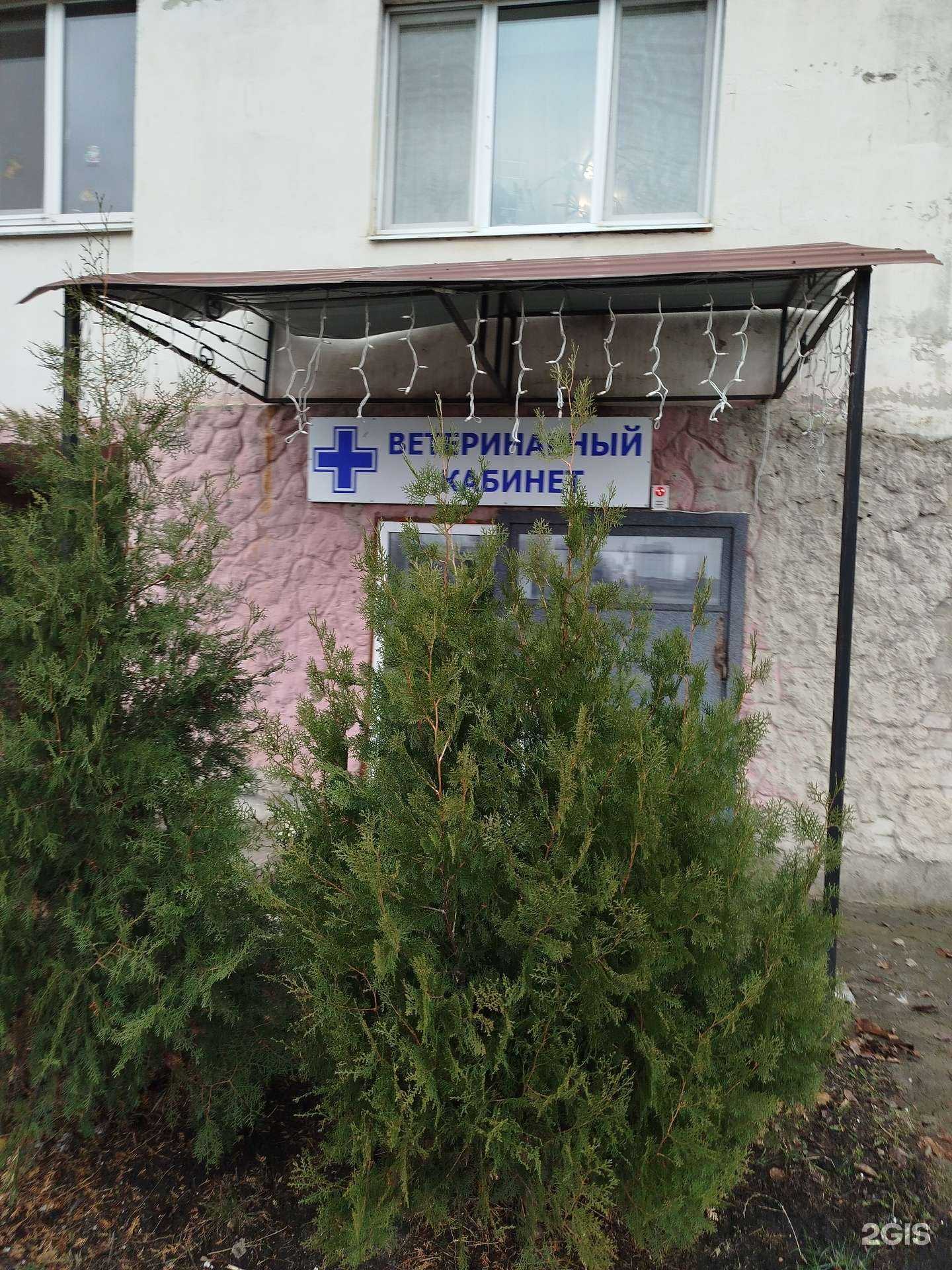 Отзывы на компанию ДокторВет в Белгороде c фото