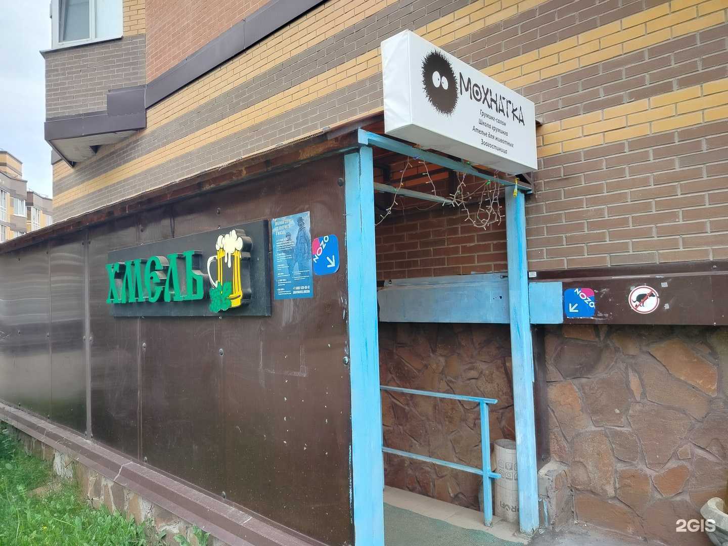 Отзывы на компанию Мохнатка в Коммунарке c фото