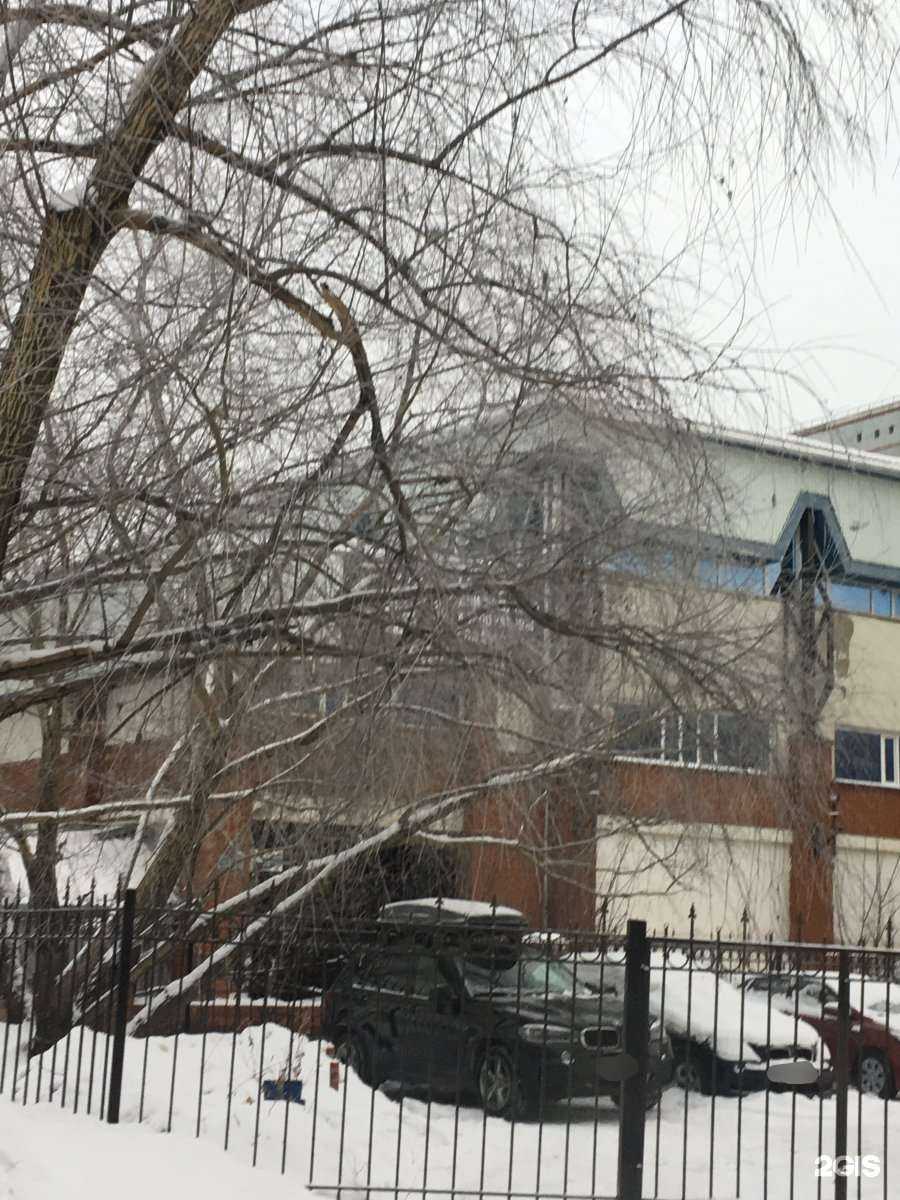 Отзывы на компанию Активити в Омске c фото