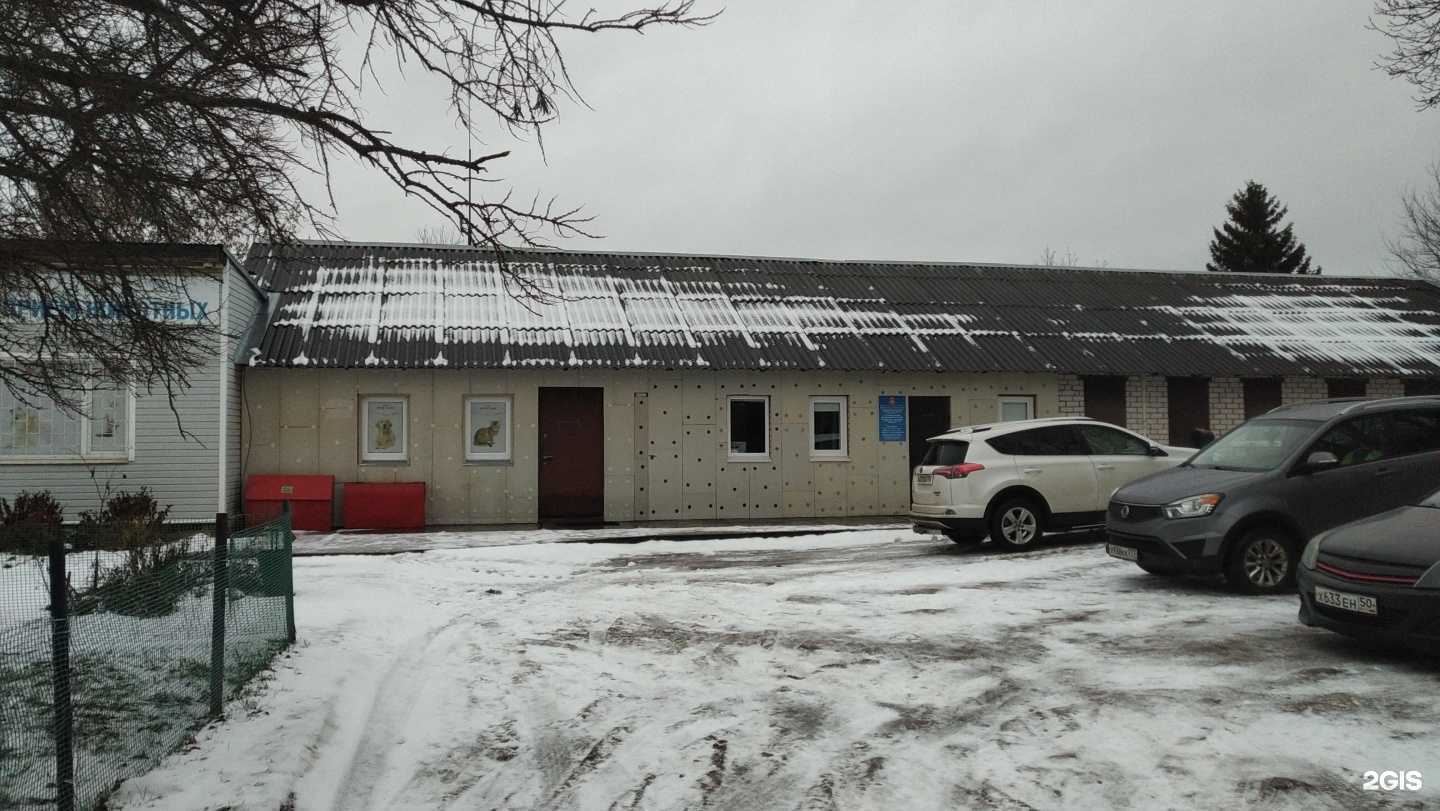 Отзывы на компанию Солнечногорская ветеринарная станция в Солнечногорске c фото