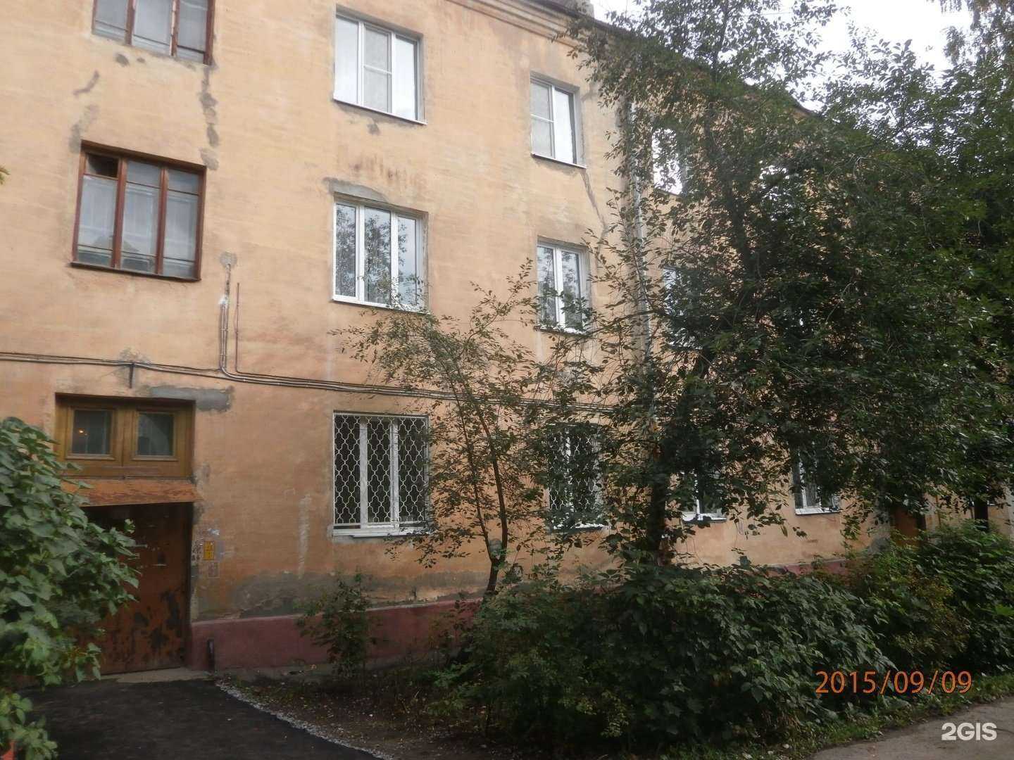 Отзывы на компанию Кот и пес в Туле c фото - фотография 2 из 2