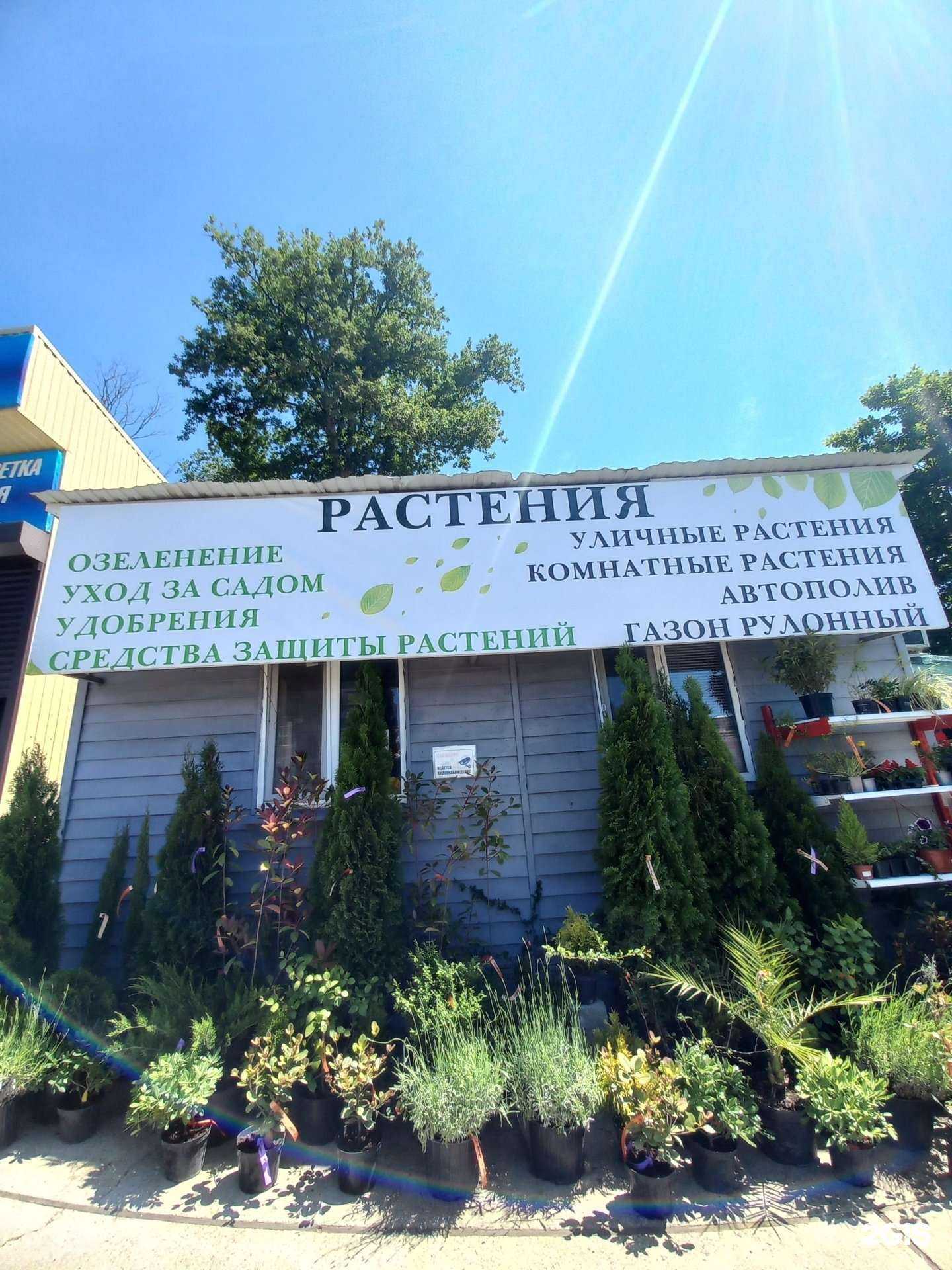 Отзывы на компанию ЛавСад в Сочи c фото