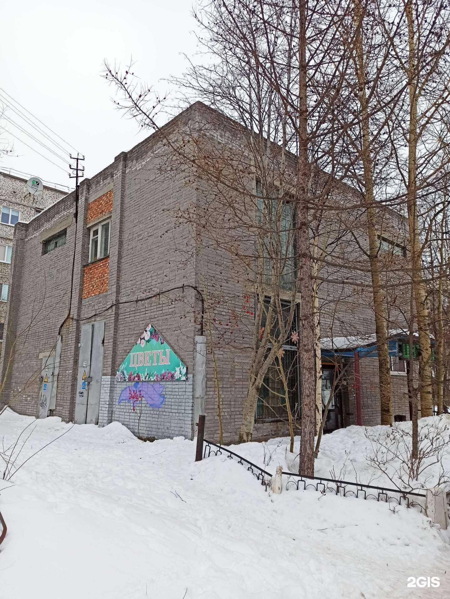 Отзывы на компанию Магнолия в Мончегорске c фото