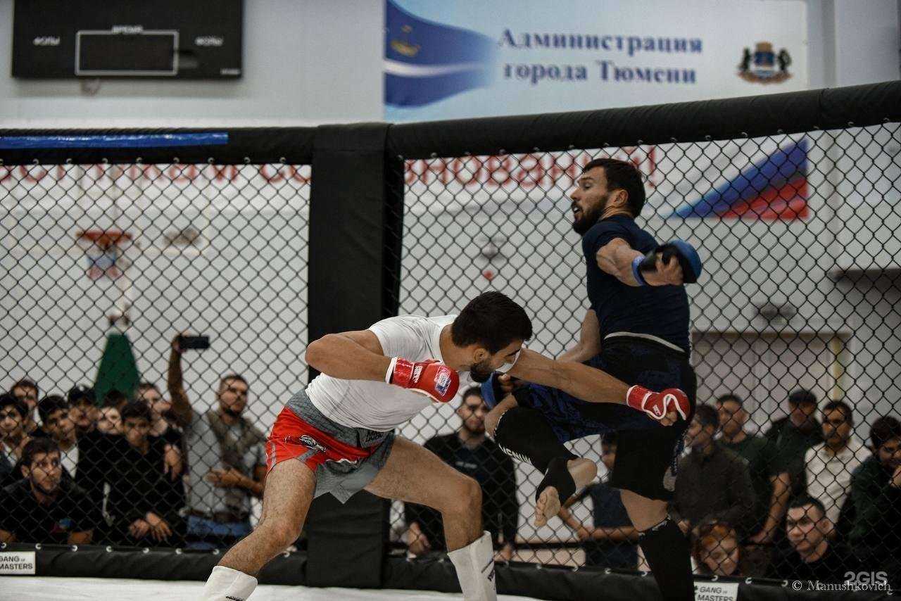 Отзывы на компанию Arf team в Тюмени c фото