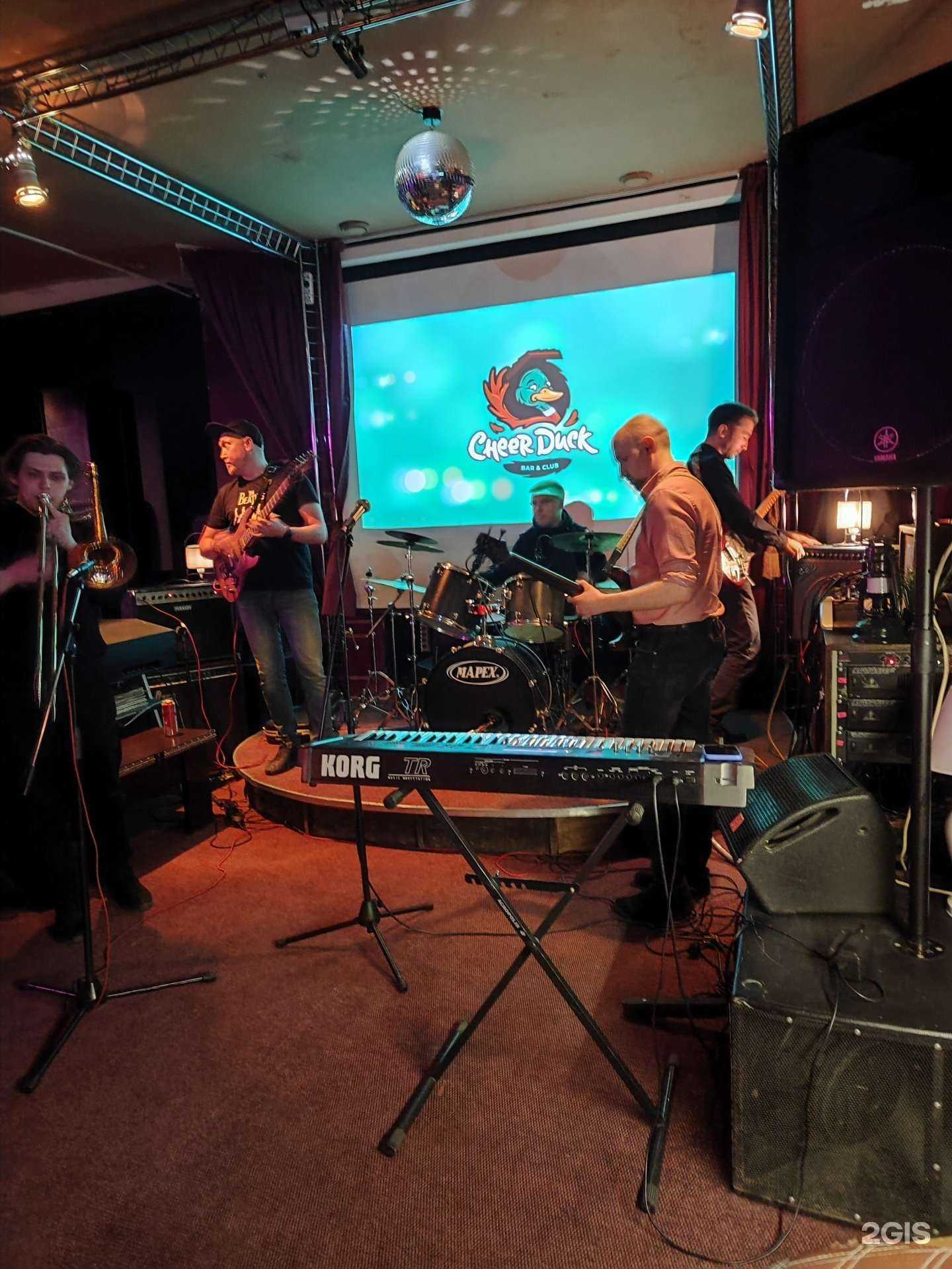 Отзывы на компанию CheerDuck в Тюмени c фото