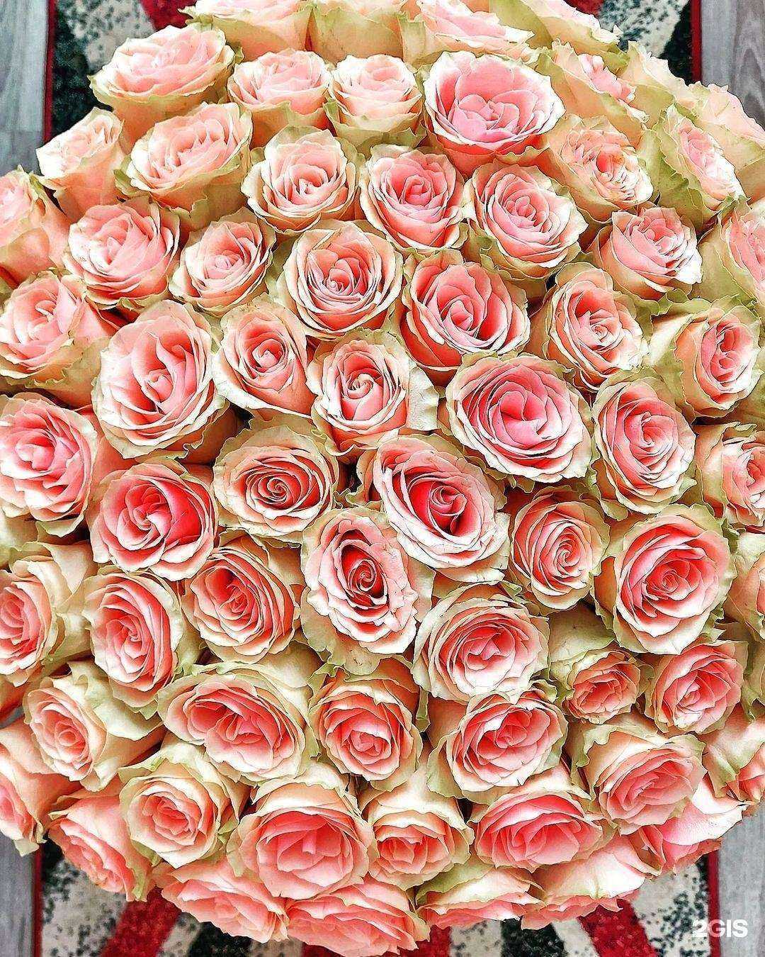 Отзывы на компанию Кабинет красоты в г. Архангельск c фото