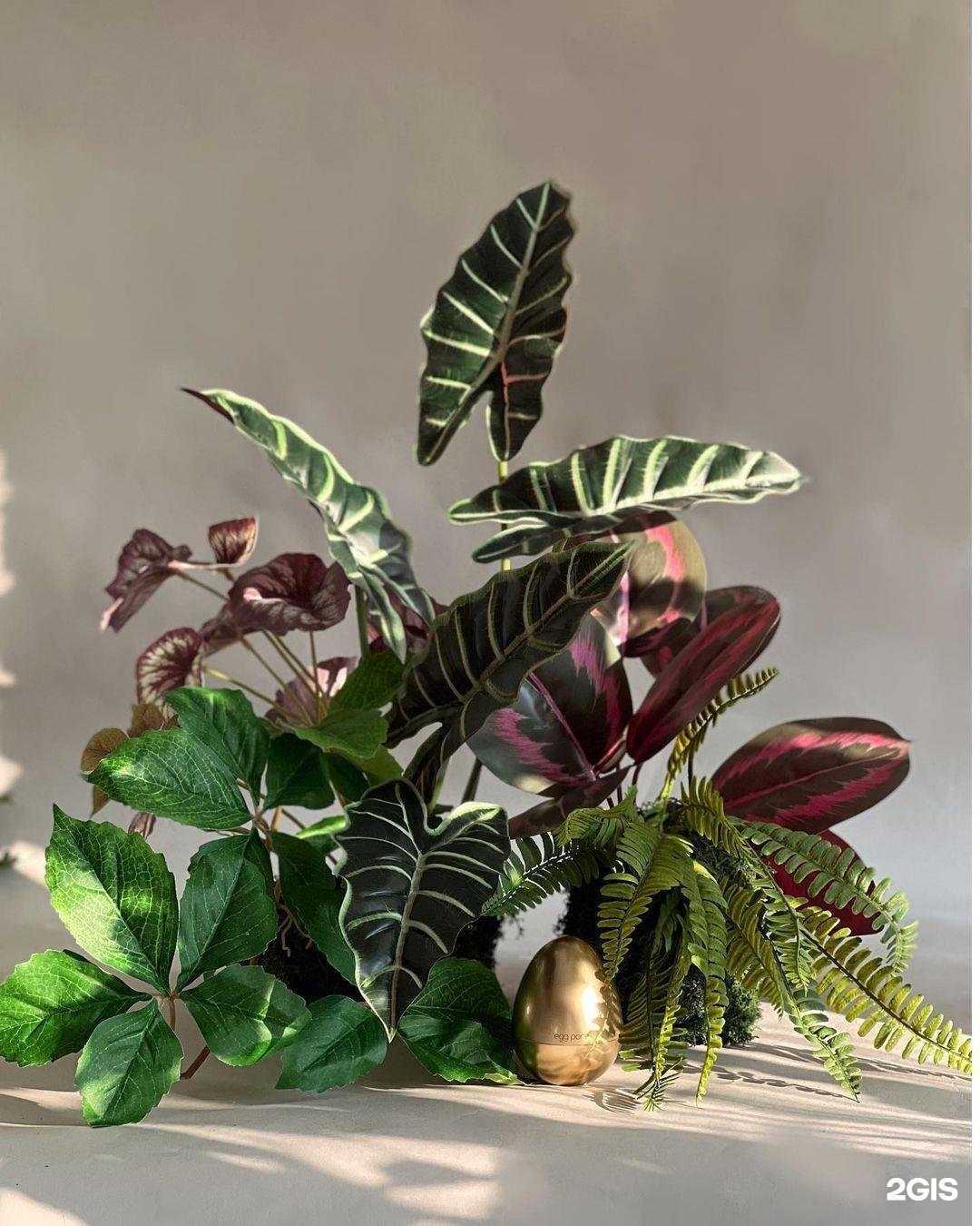 Отзывы на компанию Blumange в г. Махачкала c фото