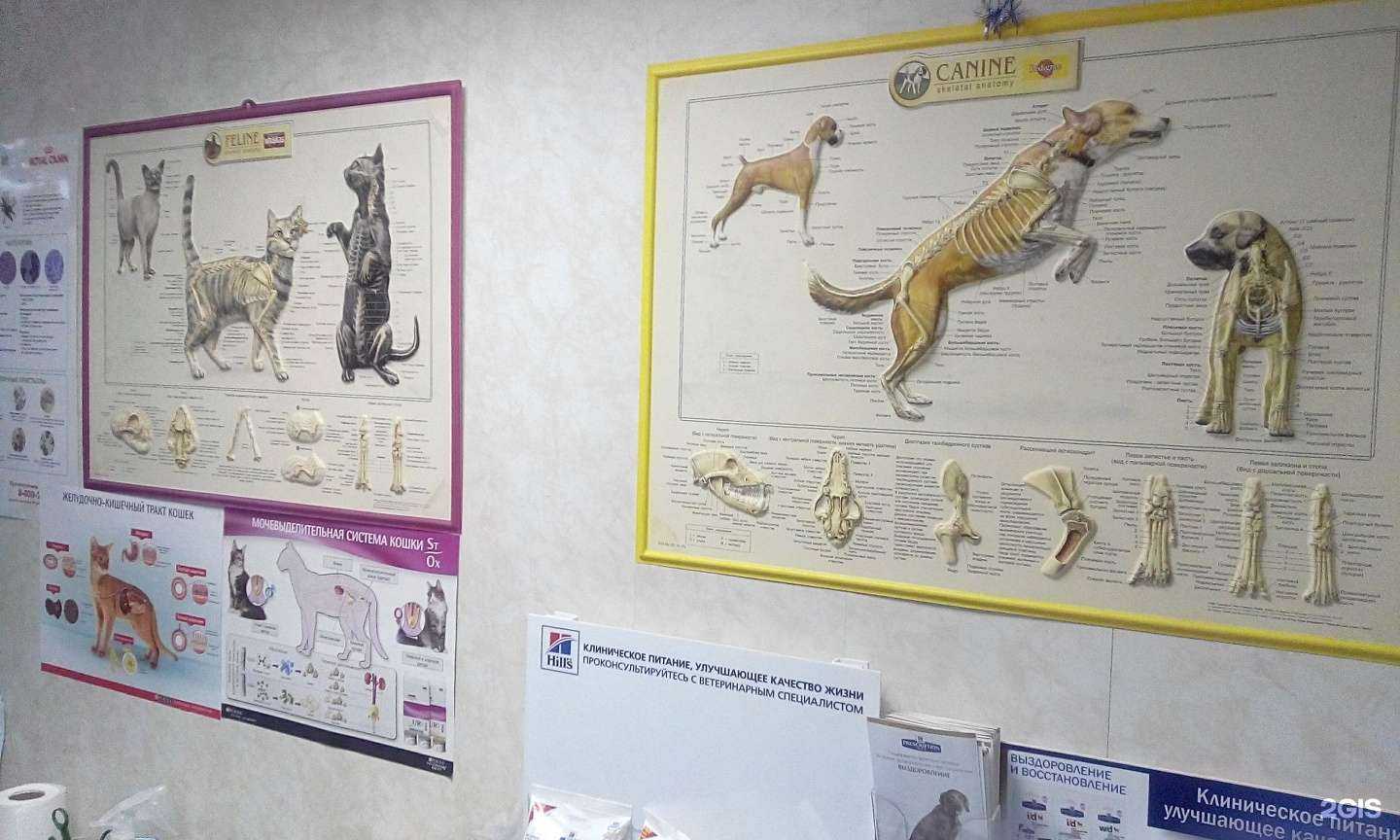 Отзывы на компанию Котопёс и К в Набережных Челнах c фото